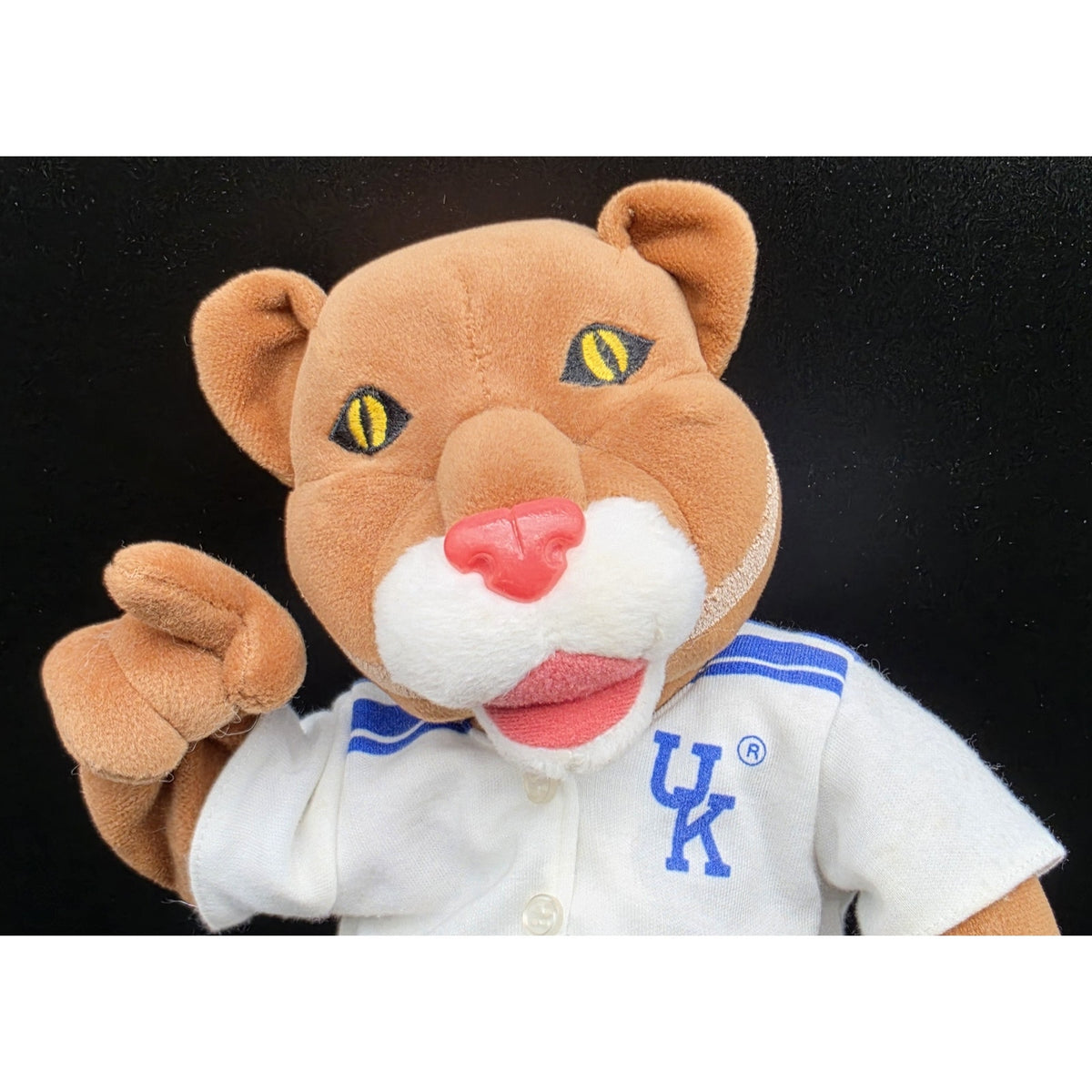 Vintage University of Kentucky Wildcat Musical Animated Dancing Cheer Plush Doll
