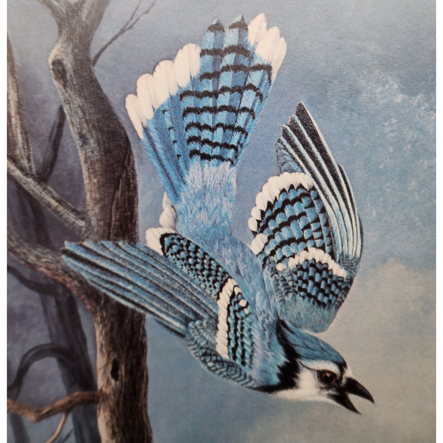 Vintage Winter Jays Harry Duncan Signed #1232/1500 Framed Triple Mat Lithograph