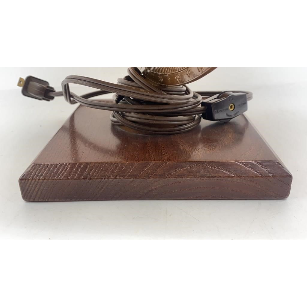 Replogle World Premiere 12" Illuminated Globe Vintage Wood Base LED Tested