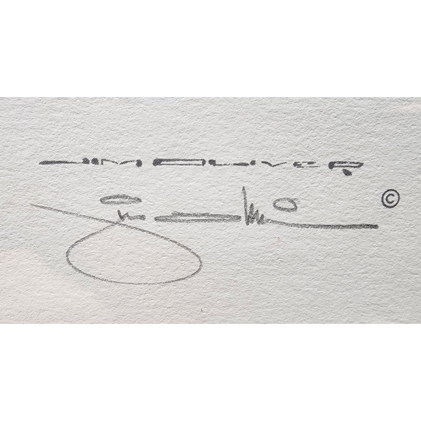 Jim Oliver Kentucky Wildcat Lithograph Signed, Embossed Framed Art