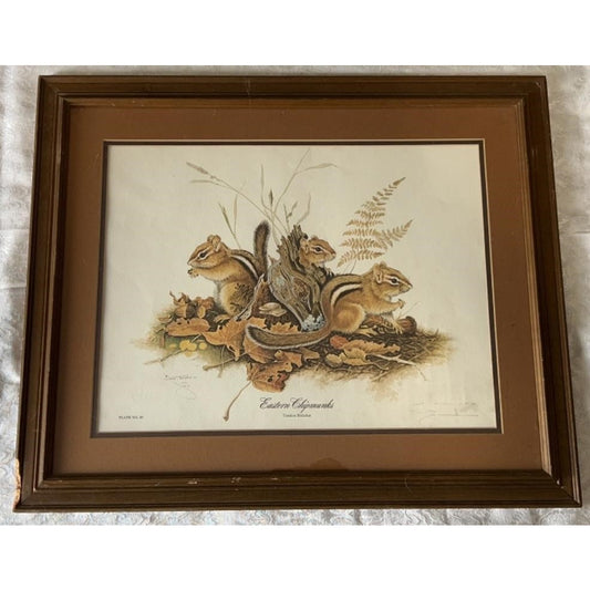 Jim Oliver Signed Print Eastern Chipmunks Framed Wildlife Art