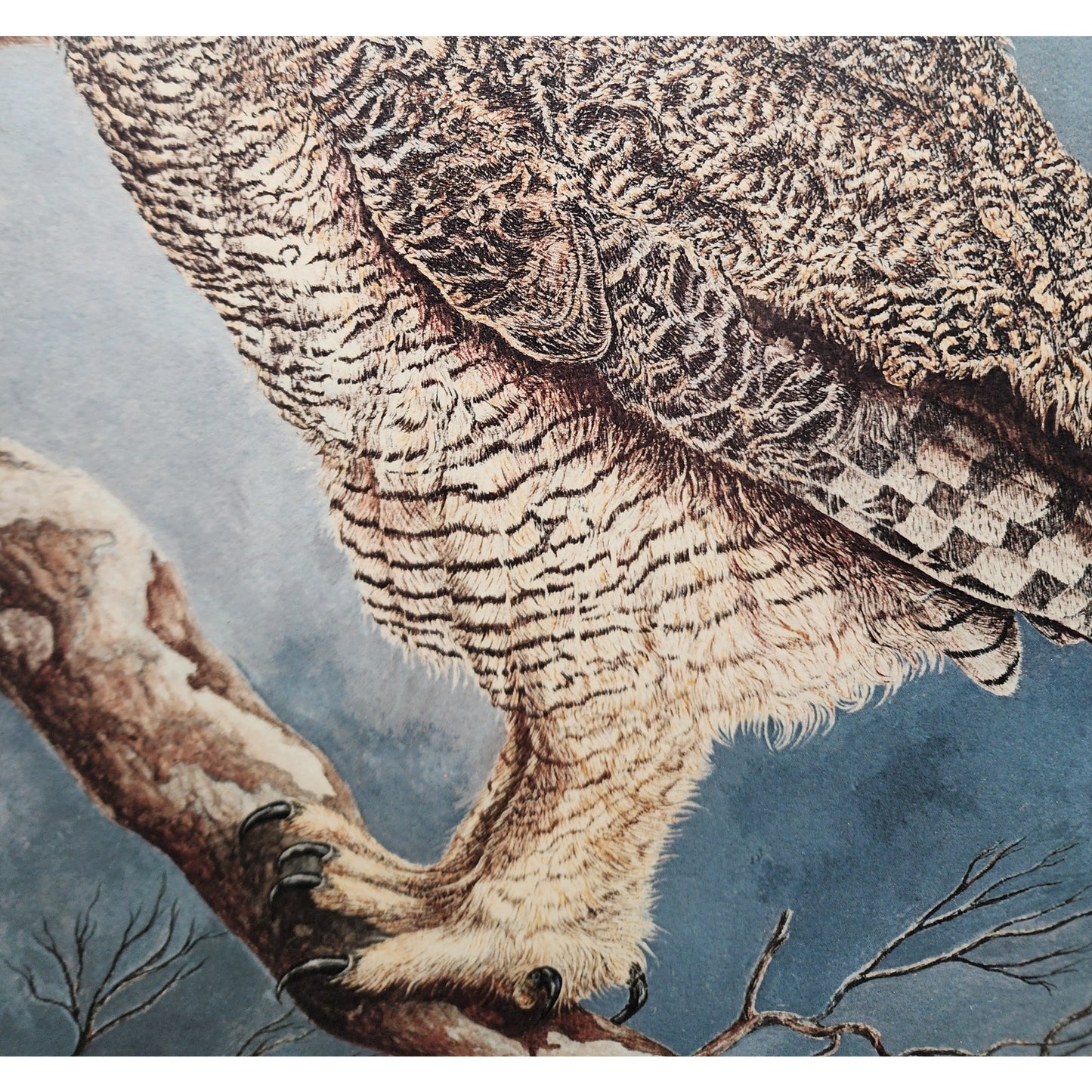 The Nightwatch Harry Duncan Signed #1232/2500 Framed Owl Lithograph