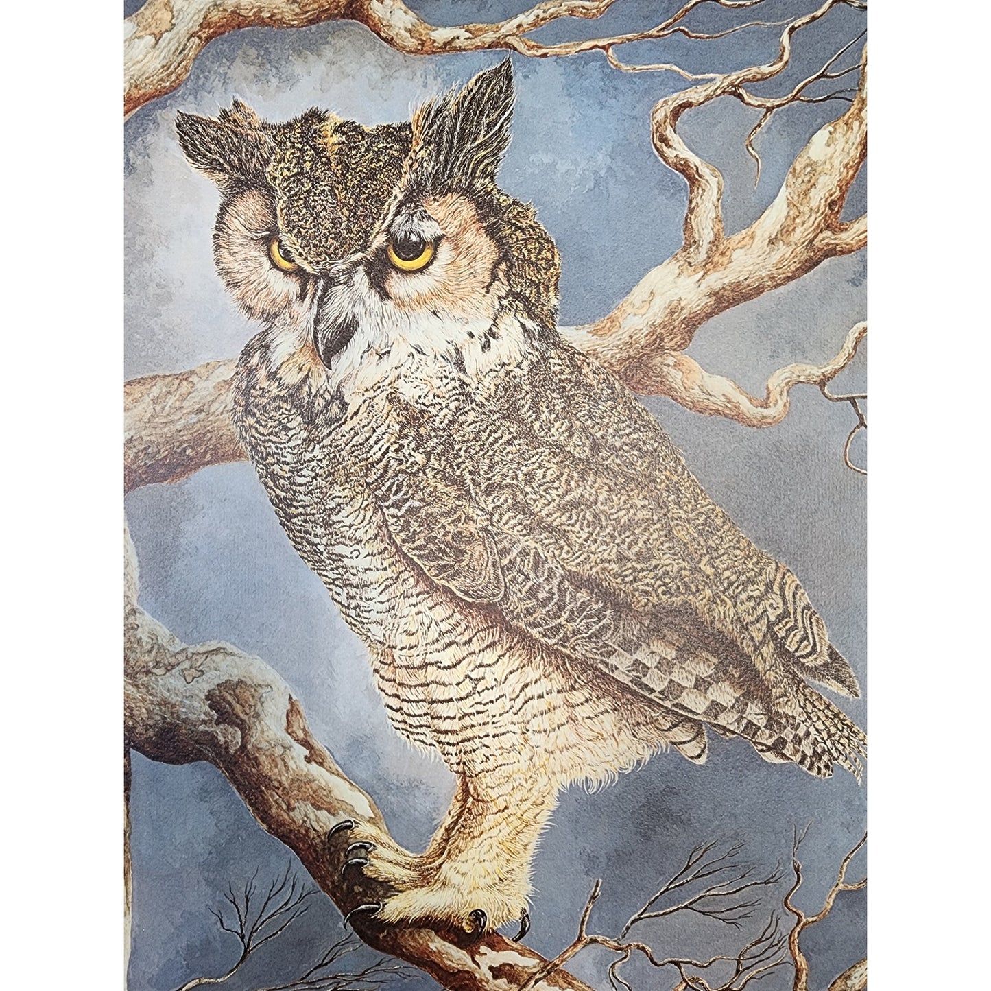 Harry Duncan ASA “The Night Watch” Owl Serigraph – Signed & Numbered 1558/2500 (1982)