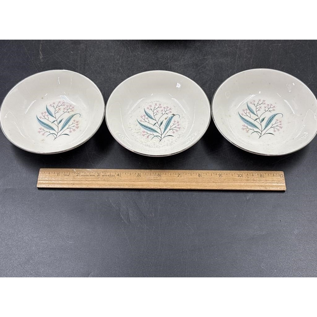 Alliance China Co. Regal Hand Decorated China Set – 14pc - Platinum Rim  (Chip on Saucer)