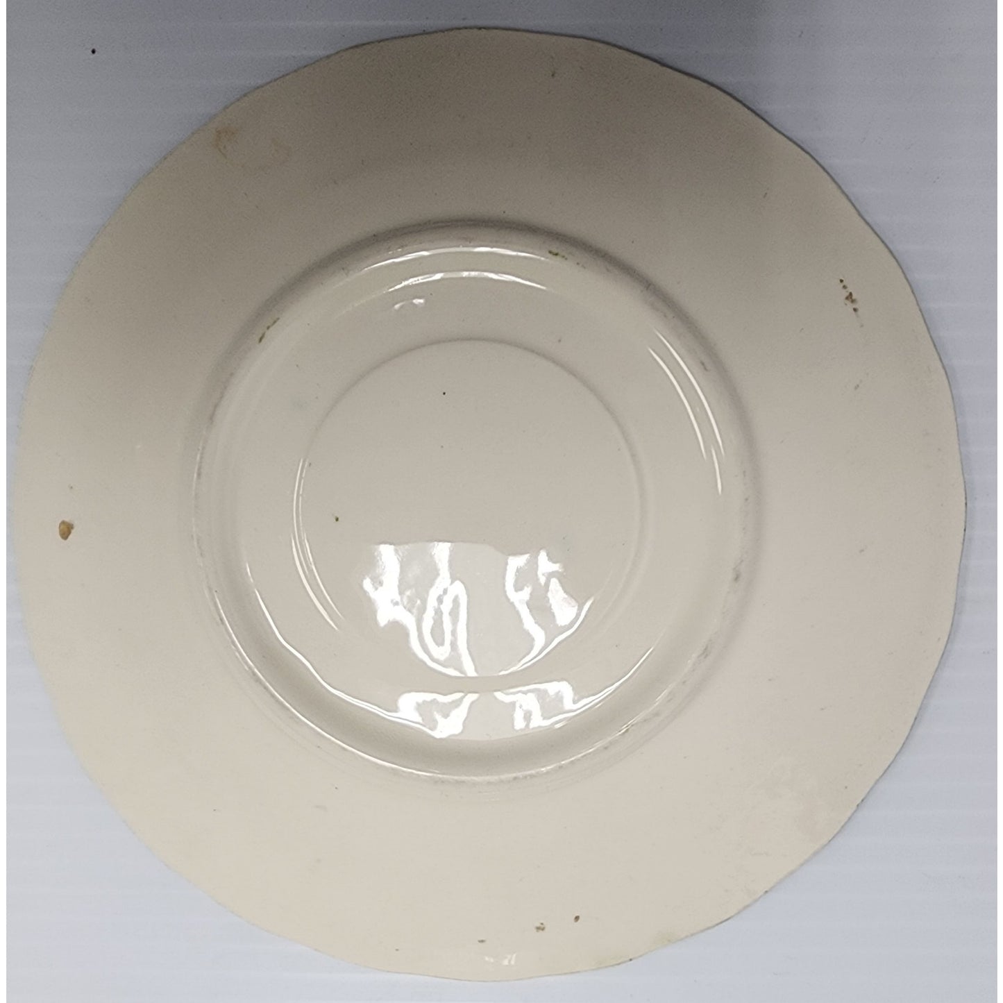 Blue Ridge Southern Potteries Hand Painted Floral Plates Set of 8 Vintage