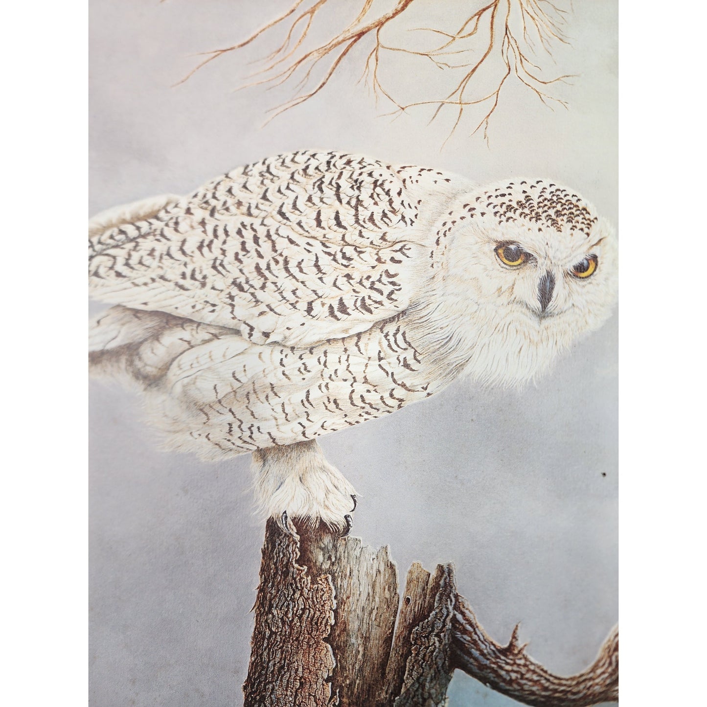 Harry Duncan ASA “The Lonely Virgil” Lithograph – Signed & Numbered (1982)