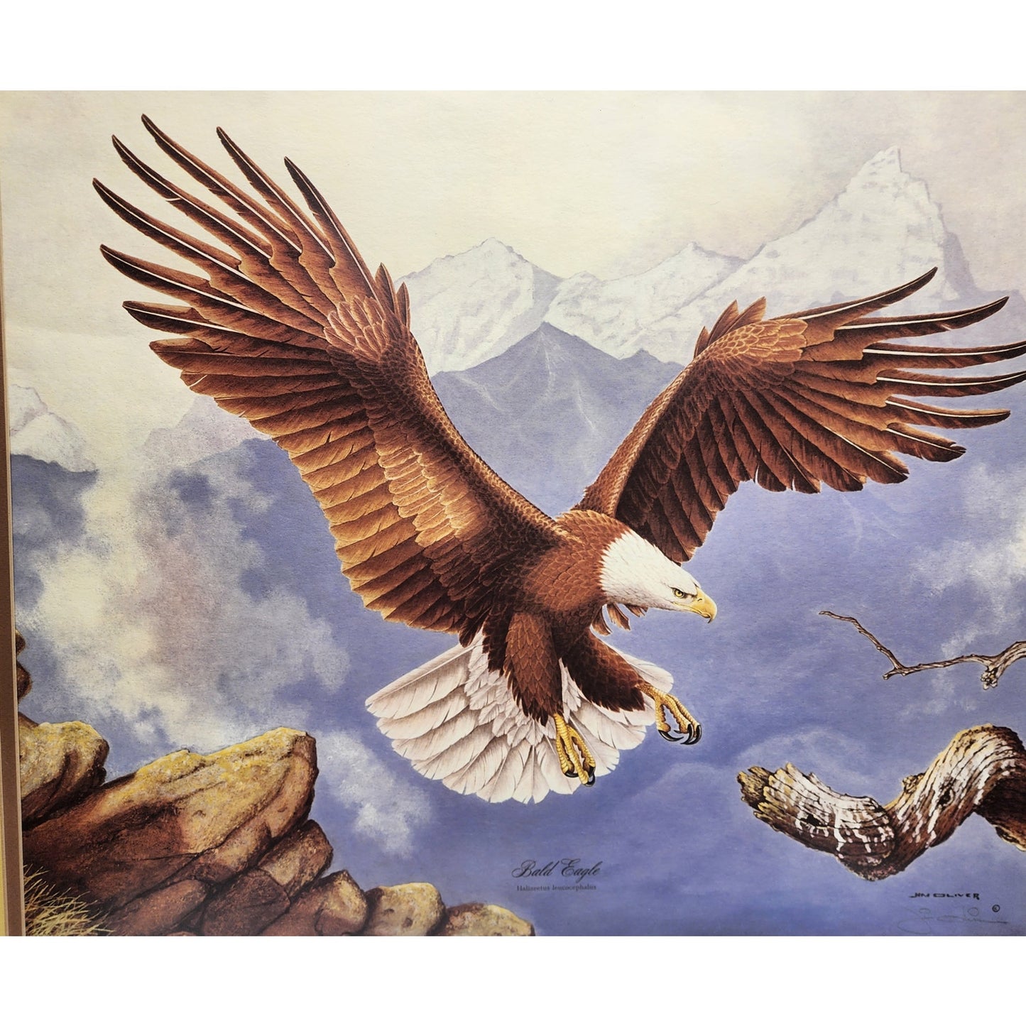Jim Oliver Signed Lithograph “Bald Eagle”, Large Framed Wildlife Art 36.75x32.75