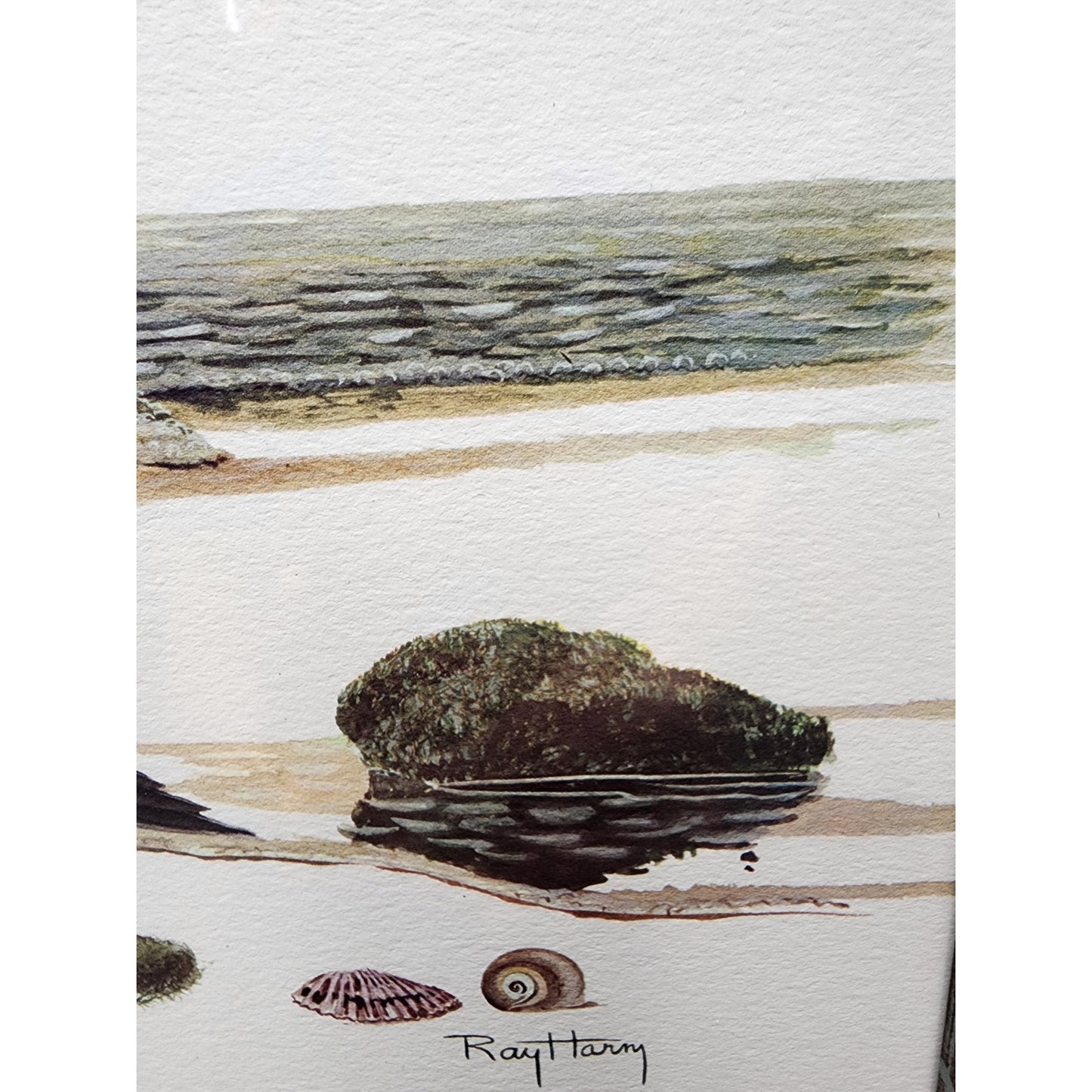 Ray Harm Little Blue Heron Lithograph 1967 Signed In Print Framed VTG Art