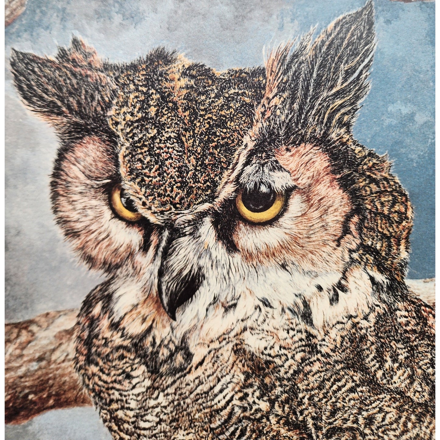 The Nightwatch Harry Duncan Signed #1232/2500 Framed Owl Lithograph
