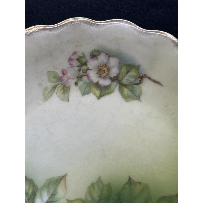 VTG Tirschenreuth Bavaria Hand Painted Porcelain Plate Apples & Blossoms, Scalloped Edge