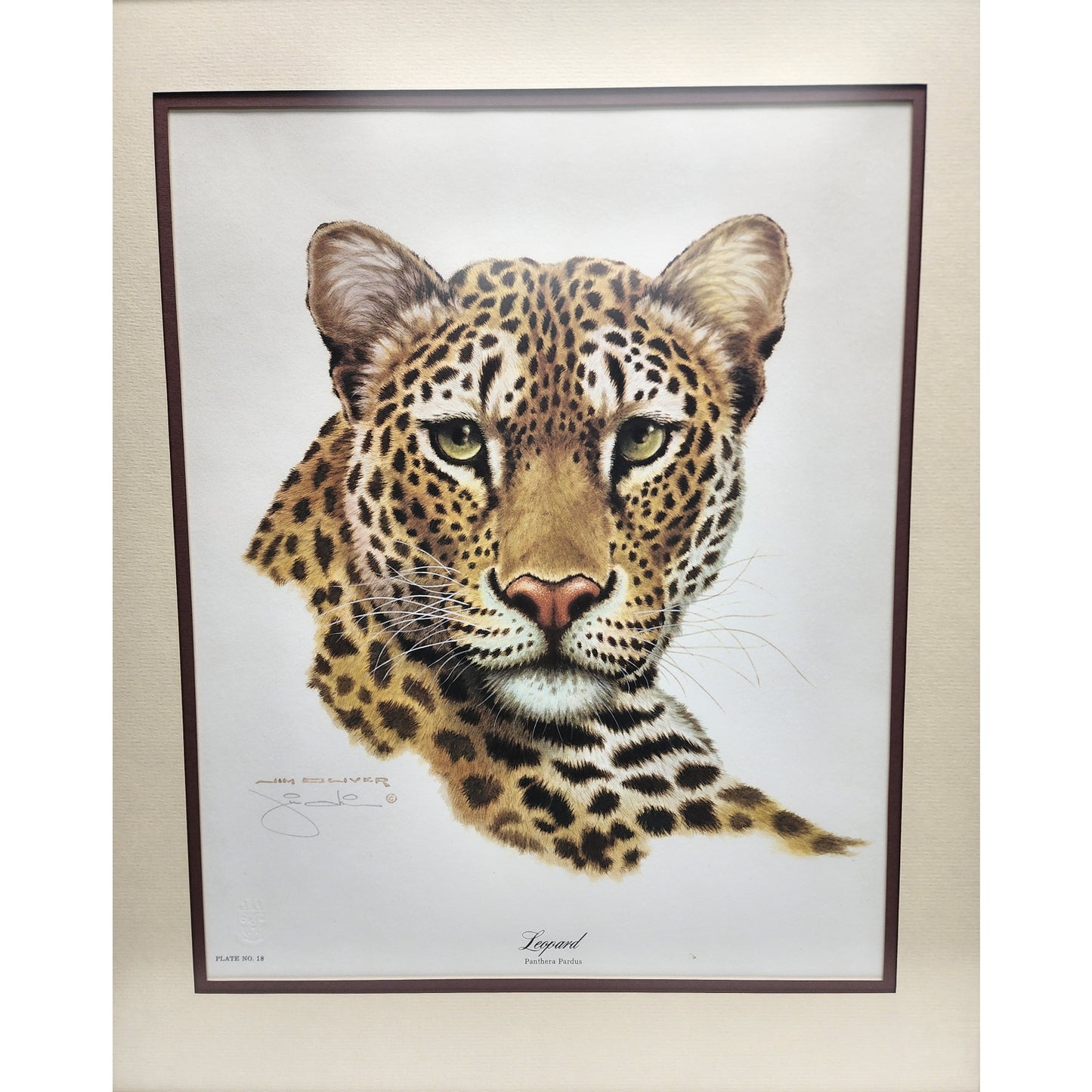 Jim Oliver Leopard Lithograph Plate 18 Signed Framed Wildlife Art VTG 1980