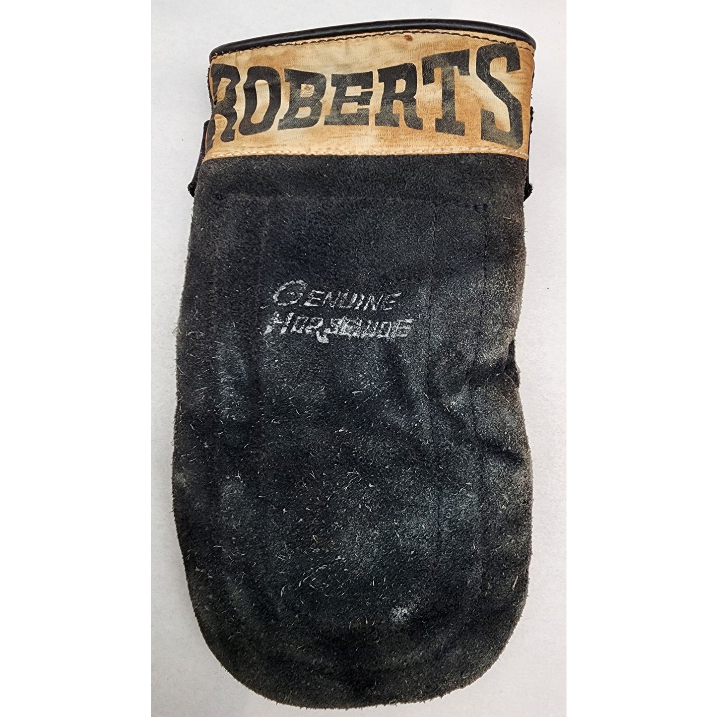 Vintage Rawlings 10P Punching Bag & Roberts Horsehide Gloves Japan Boxing Set