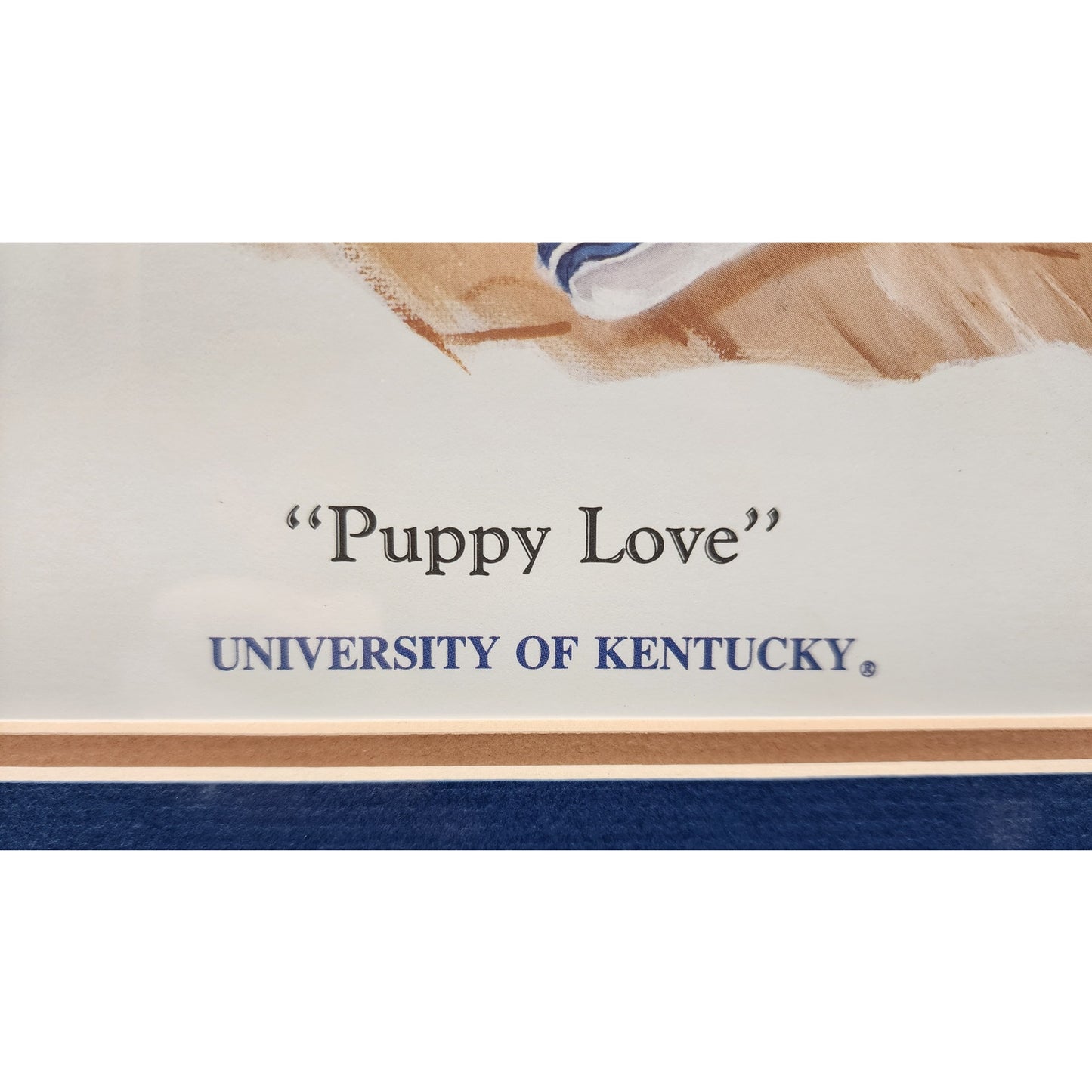 Puppy Love UK Wildcats Lithograph - Rob Brewster 517/1000 Framed Gold 24x18