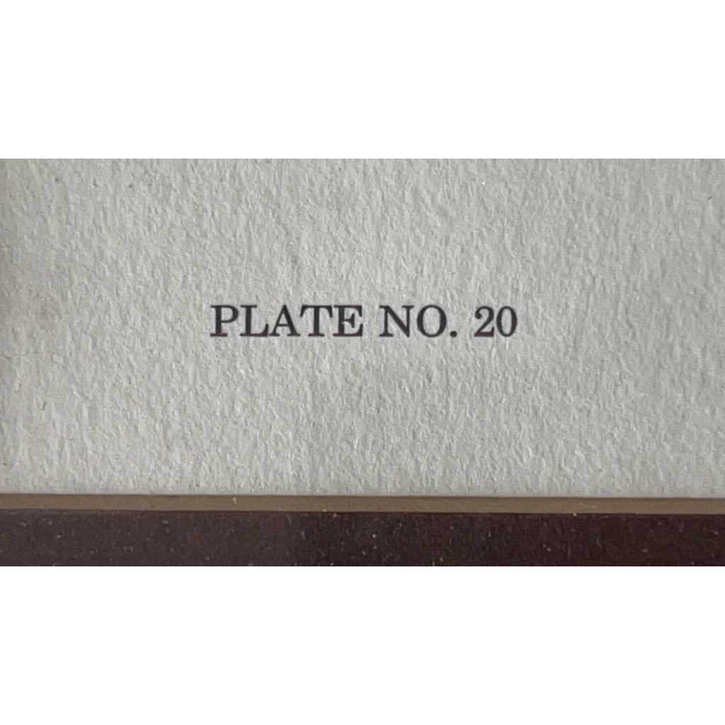 Jim Oliver Signed Print Eastern Chipmunks Framed Wildlife Art