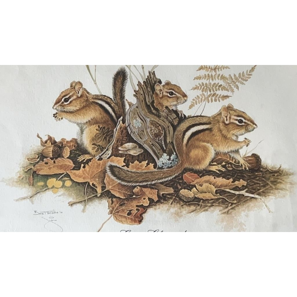 Jim Oliver Signed Print Eastern Chipmunks Framed Wildlife Art