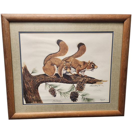 Gene Gray Red Squirrel Lithograph 1977 Series 3, Signed Framed Wildlife Art