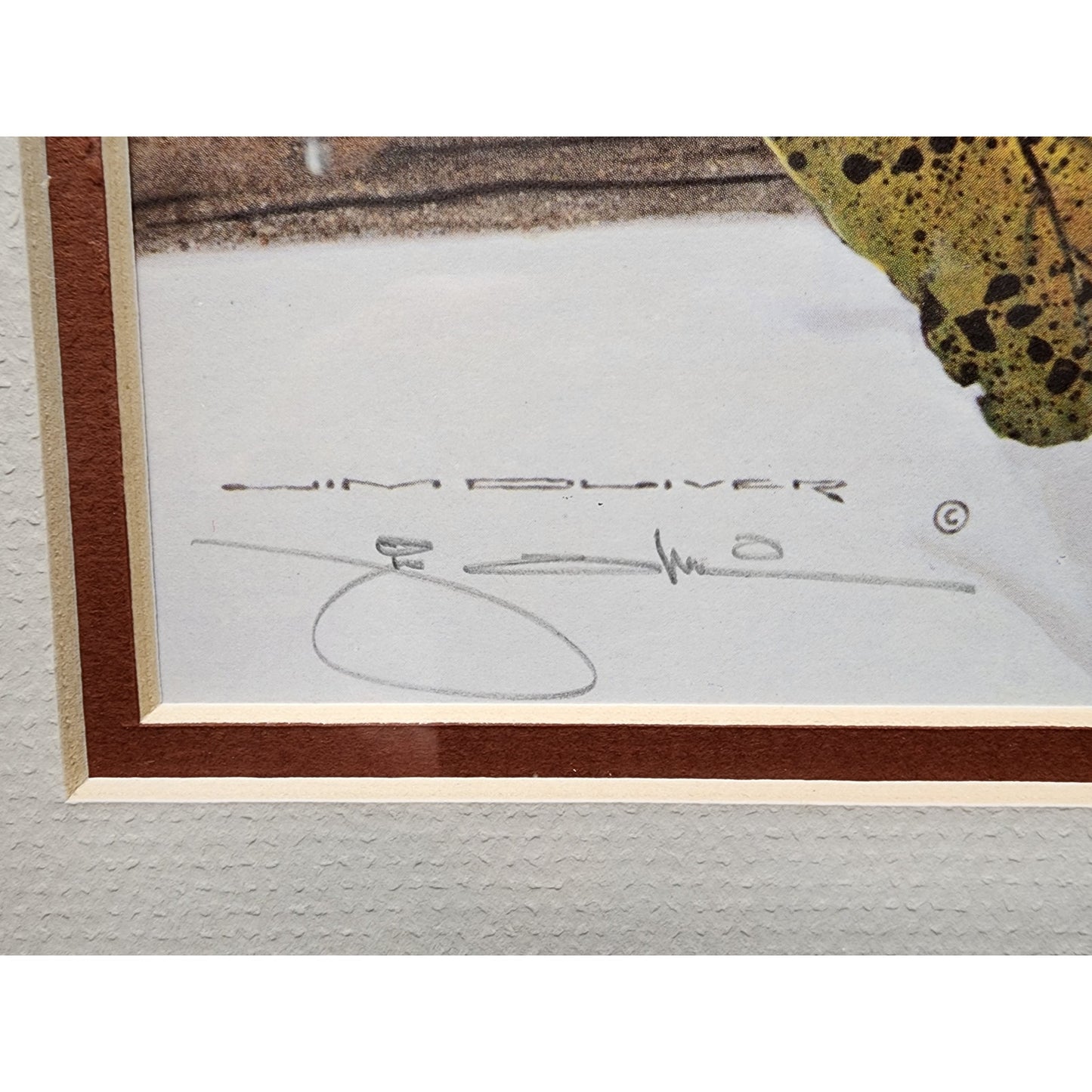 Jim Oliver Raccoon 1984 Signed Embossed Lithograph Framed Wildlife Art Print