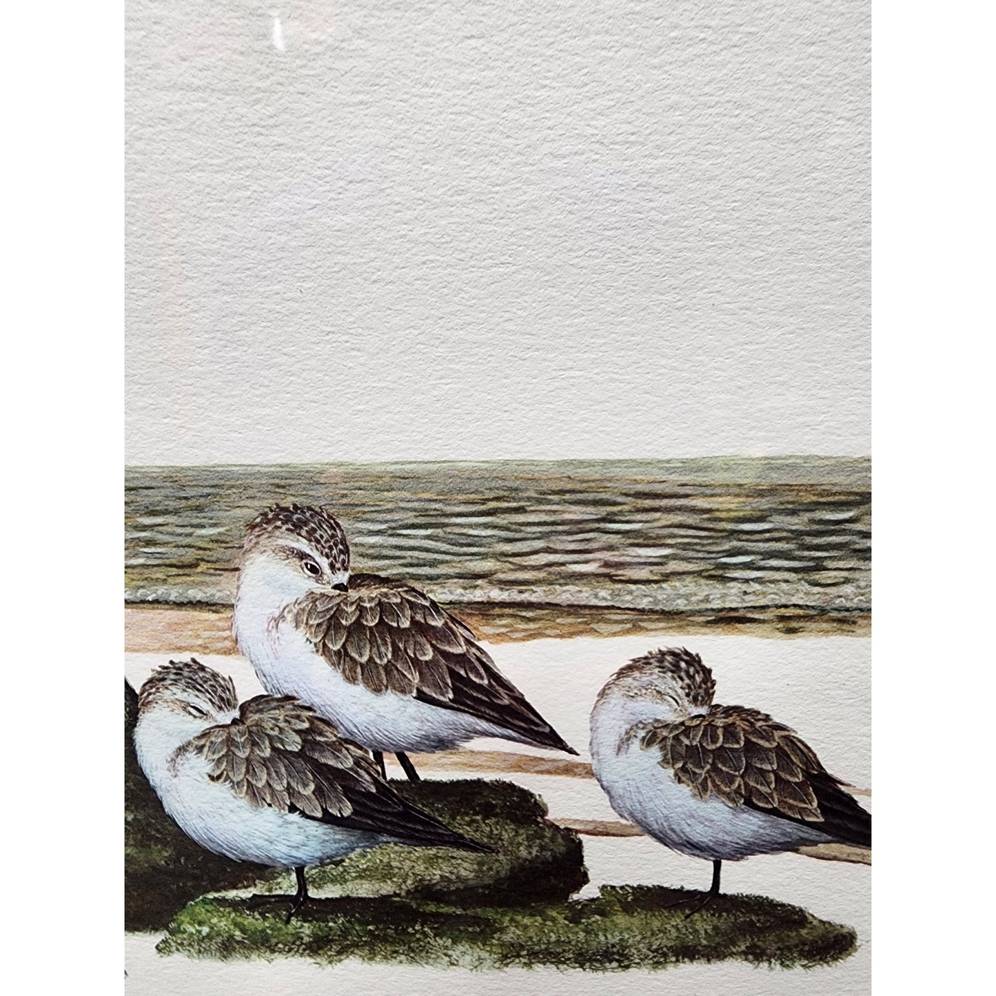 Ray Harm Little Blue Heron Lithograph 1967 Signed In Print Framed VTG Art