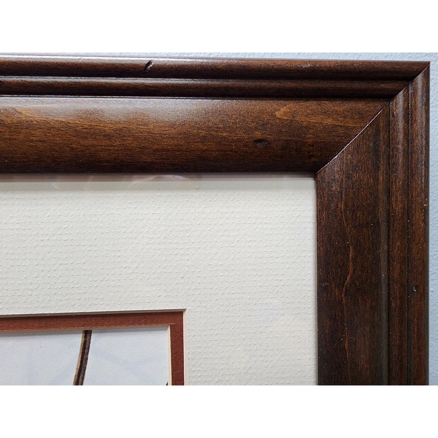 Jim Oliver Raccoon 1984 Signed Embossed Lithograph Framed Wildlife Art Print