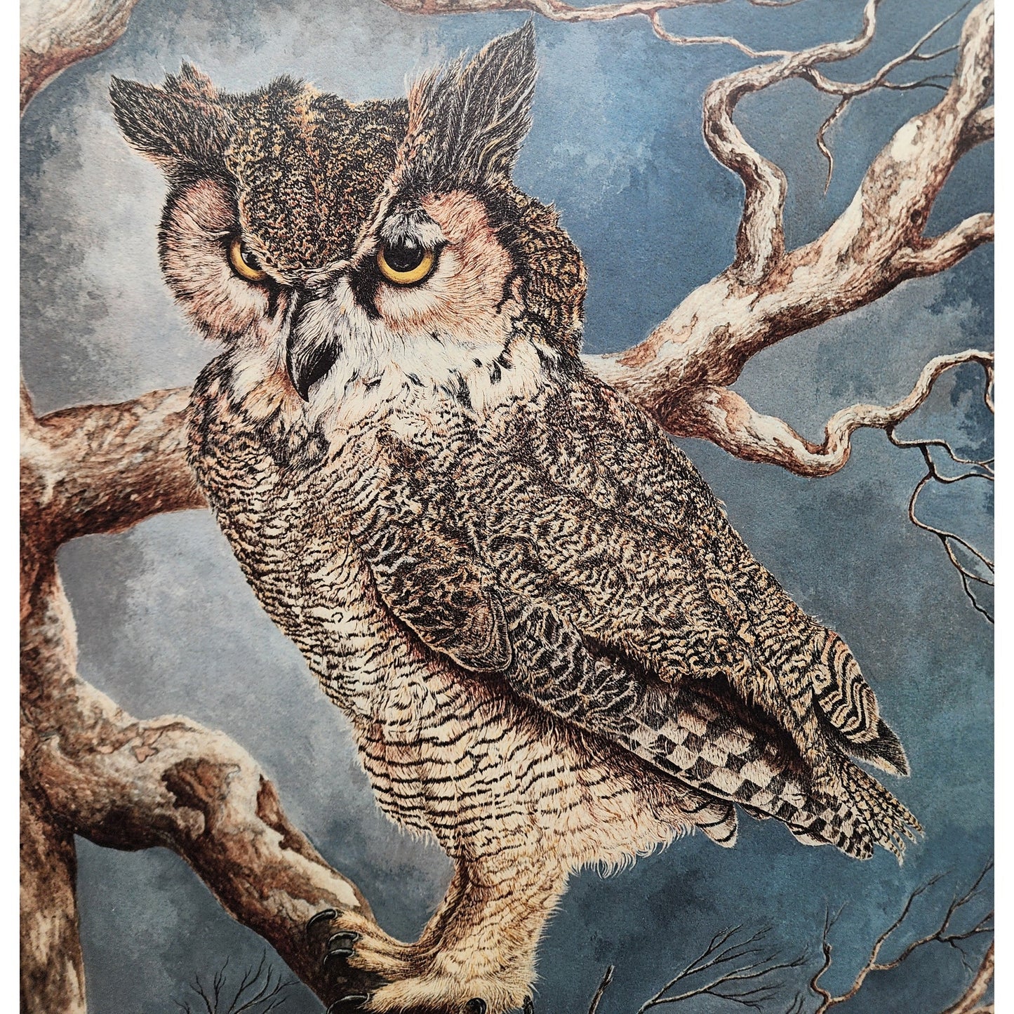 The Nightwatch Harry Duncan Signed #1232/2500 Framed Owl Lithograph