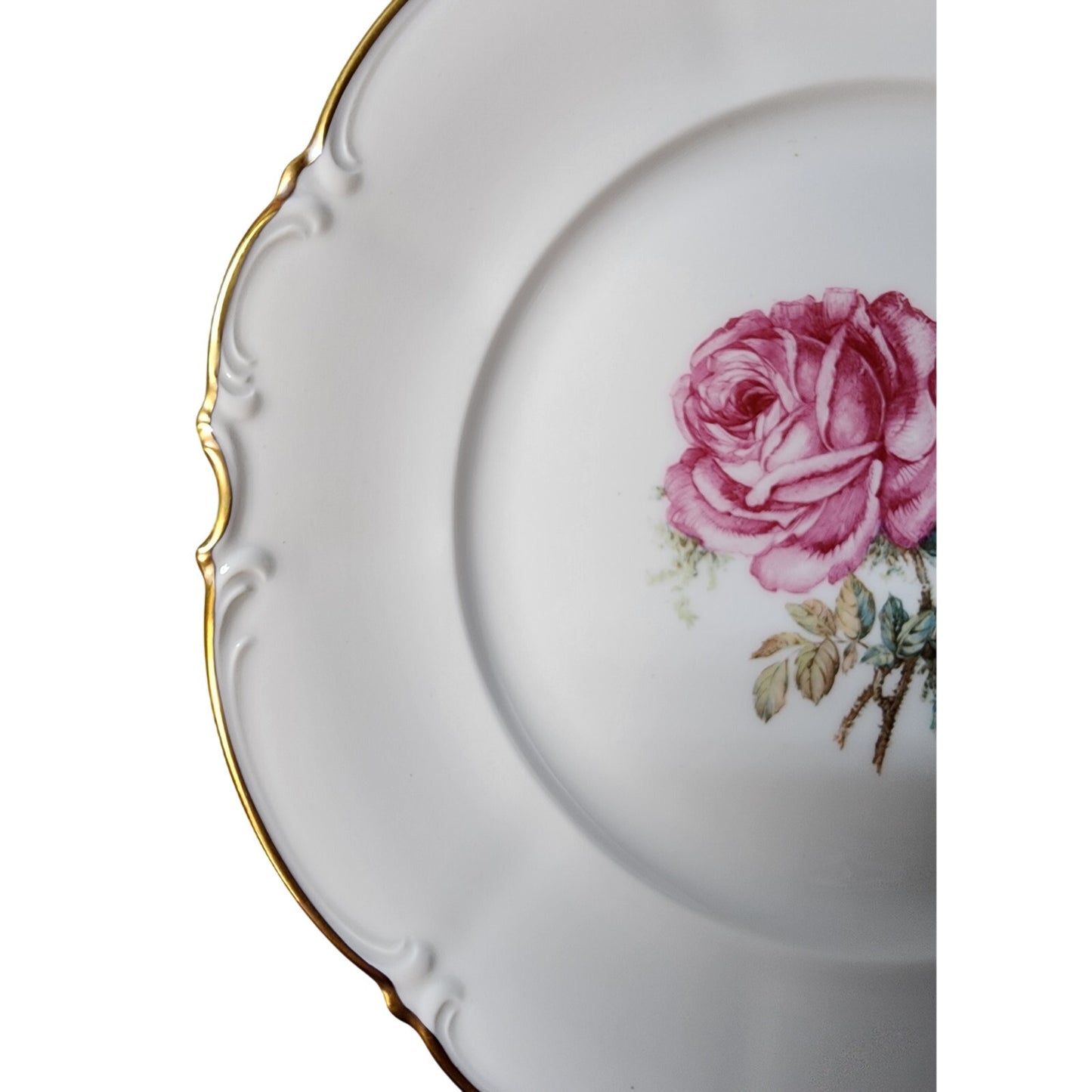 Set of 8 Vintage Hutschenreuther Selb Pasco “The Dundee” Dinner Plates