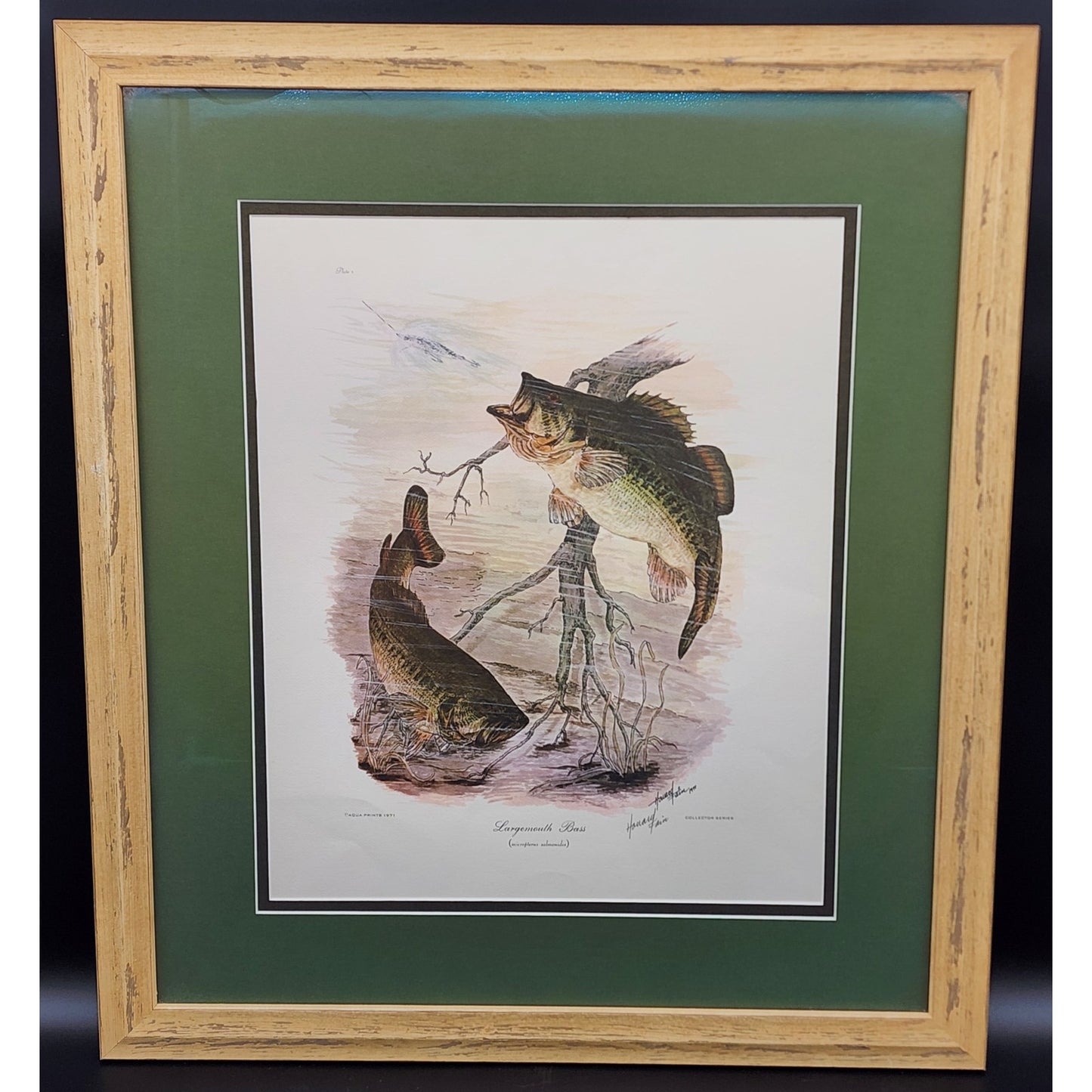 1991 Largemouth Bass Lithograph by Howard Fain Framed w/ COA 25x29 Vintage - Rare