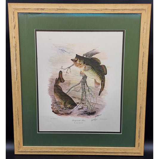 1991 Largemouth Bass Lithograph by Howard Fain Framed w/ COA 25x29 Vintage - Rare