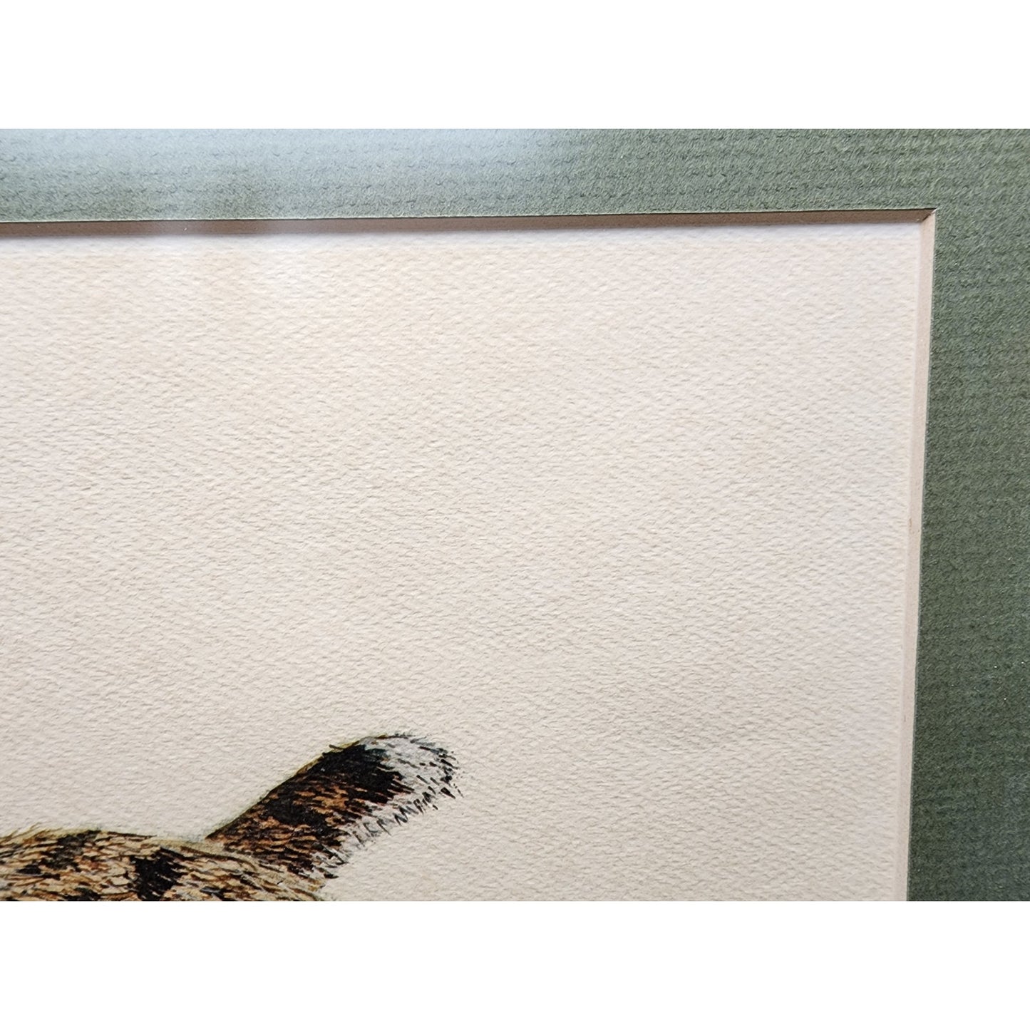 Mike Reynolds Signed KY Wildcat Print Framed Sage Matte Non-Glare Glass