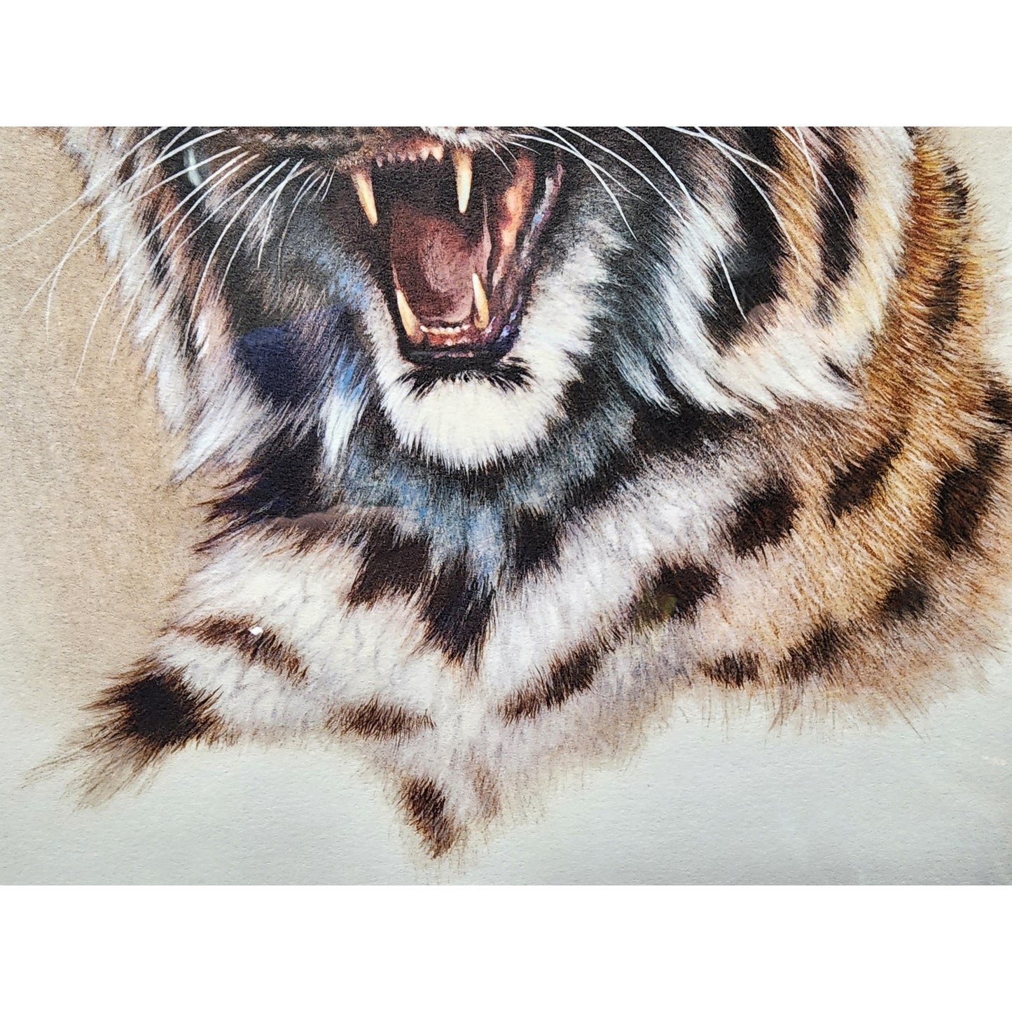 Jim Oliver Kentucky Wildcat Lithograph Signed, Embossed Framed Art