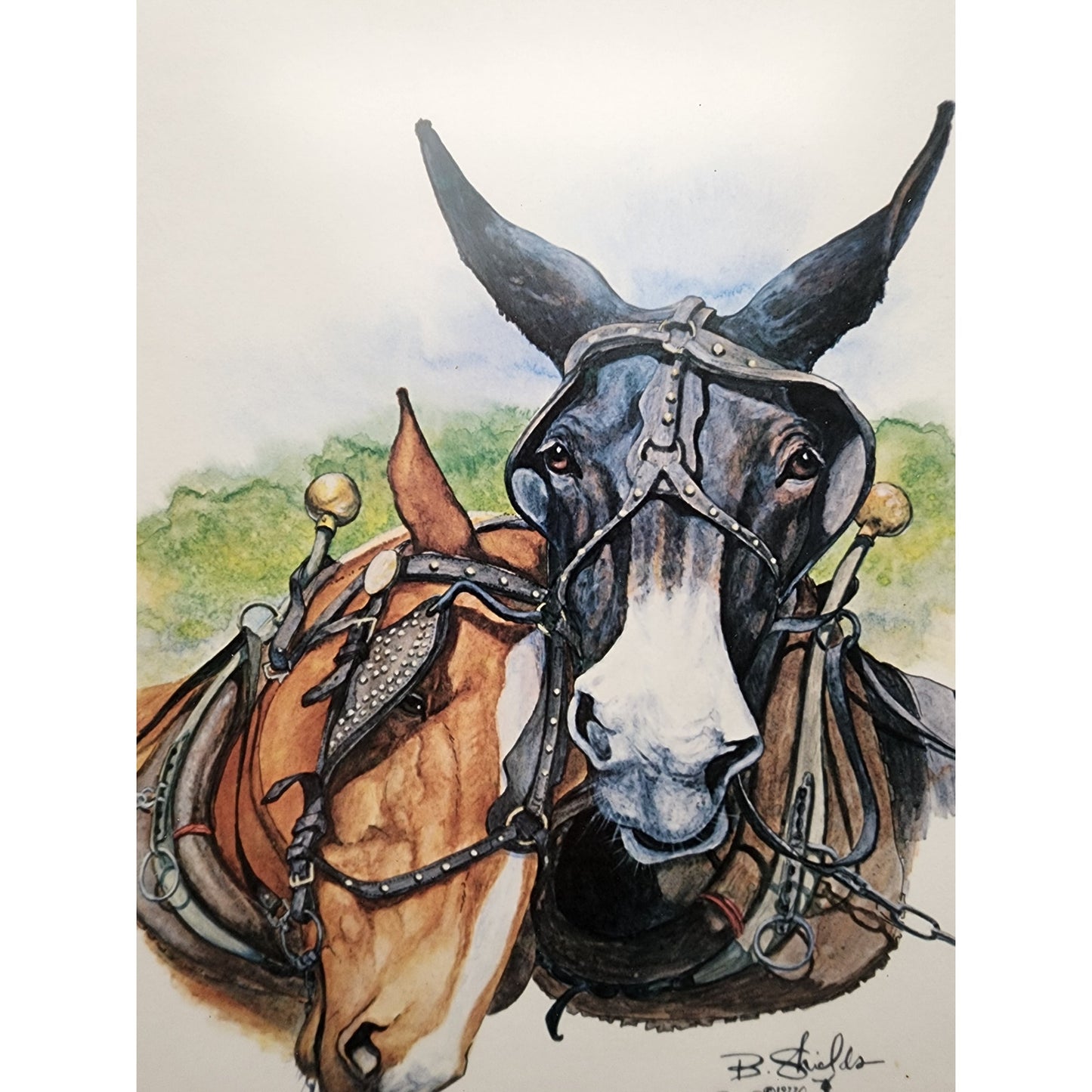 Bonnie Shields “The Odd Couple” Signed & Numbered Framed Print Western Horse Art