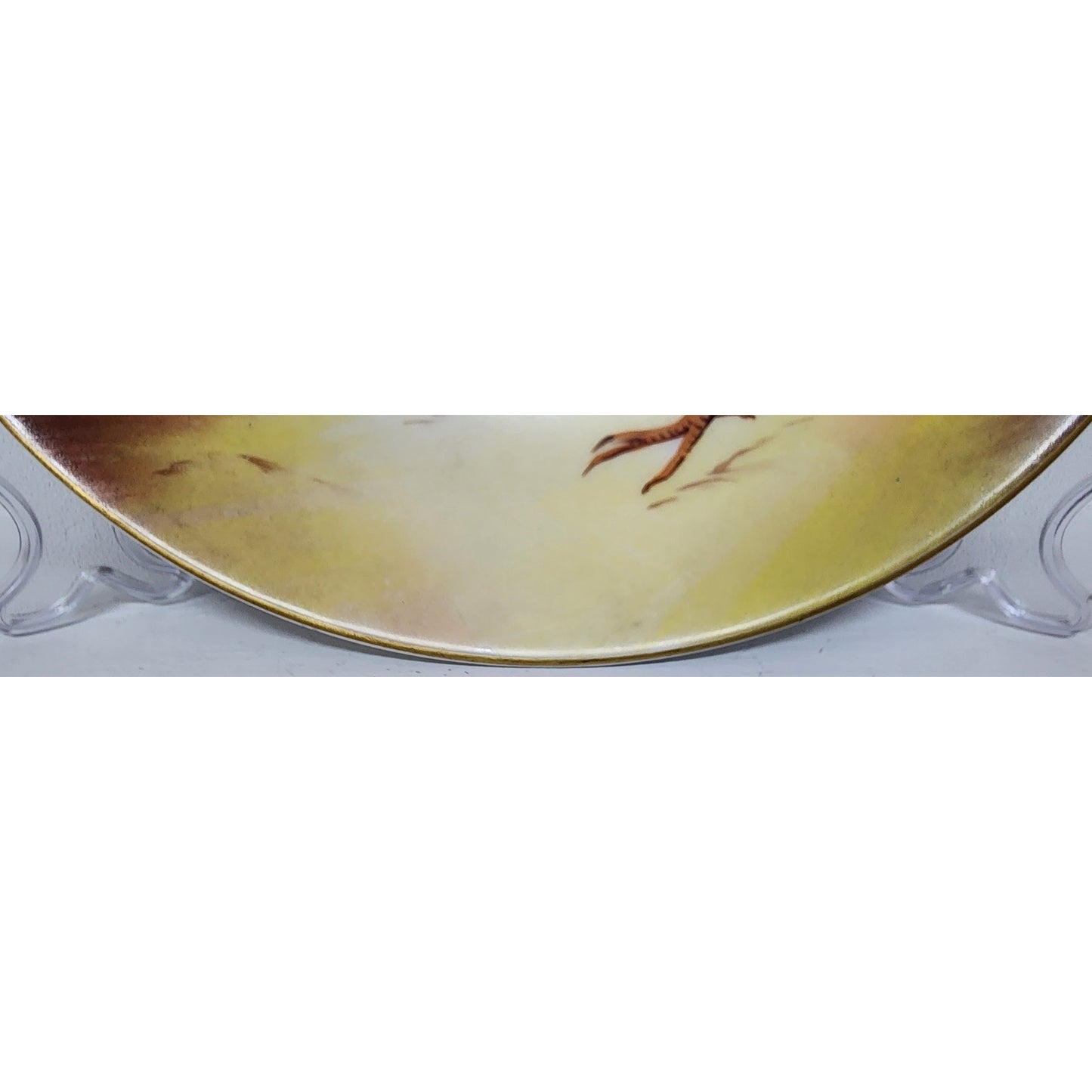 Henriot Signed Limoges France Bird Plate Hand Painted Gold Rim Violets 9.75" VTG