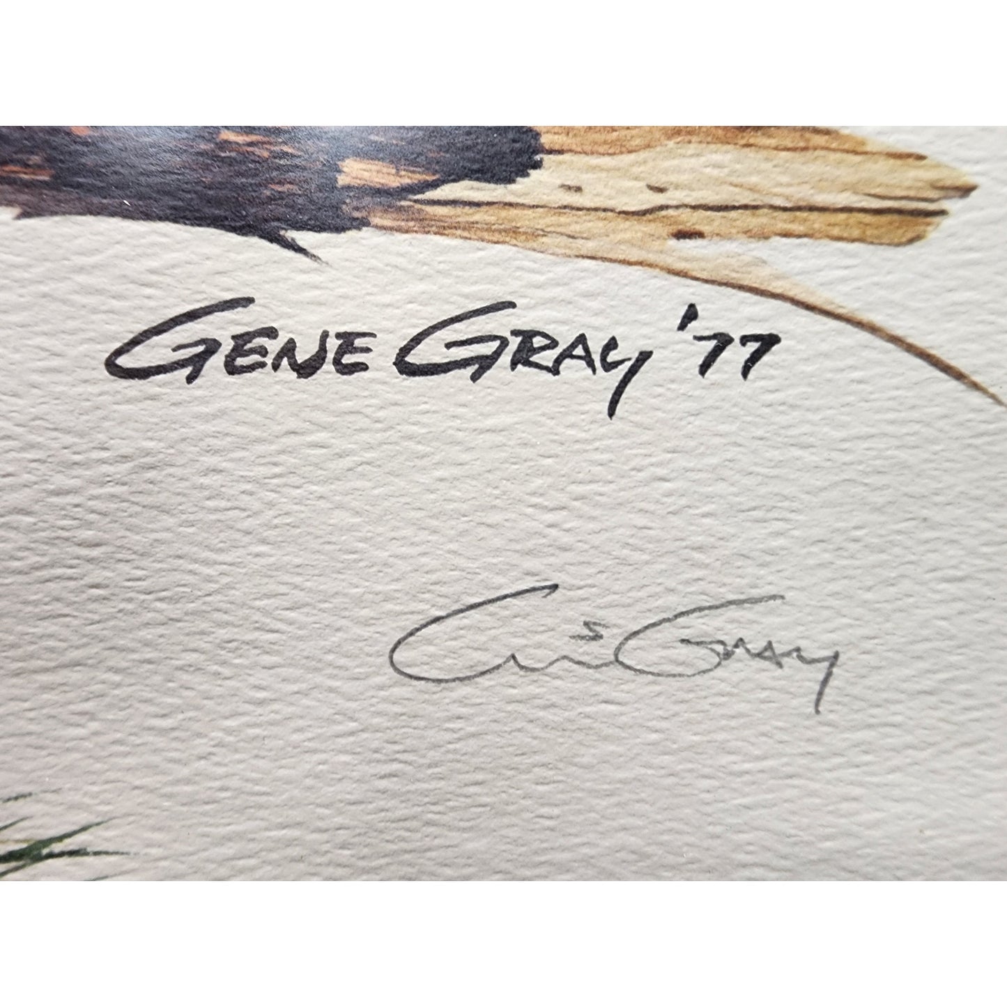 Gene Gray Red Squirrel Lithograph 1977 Series 3, Signed Framed Wildlife Art