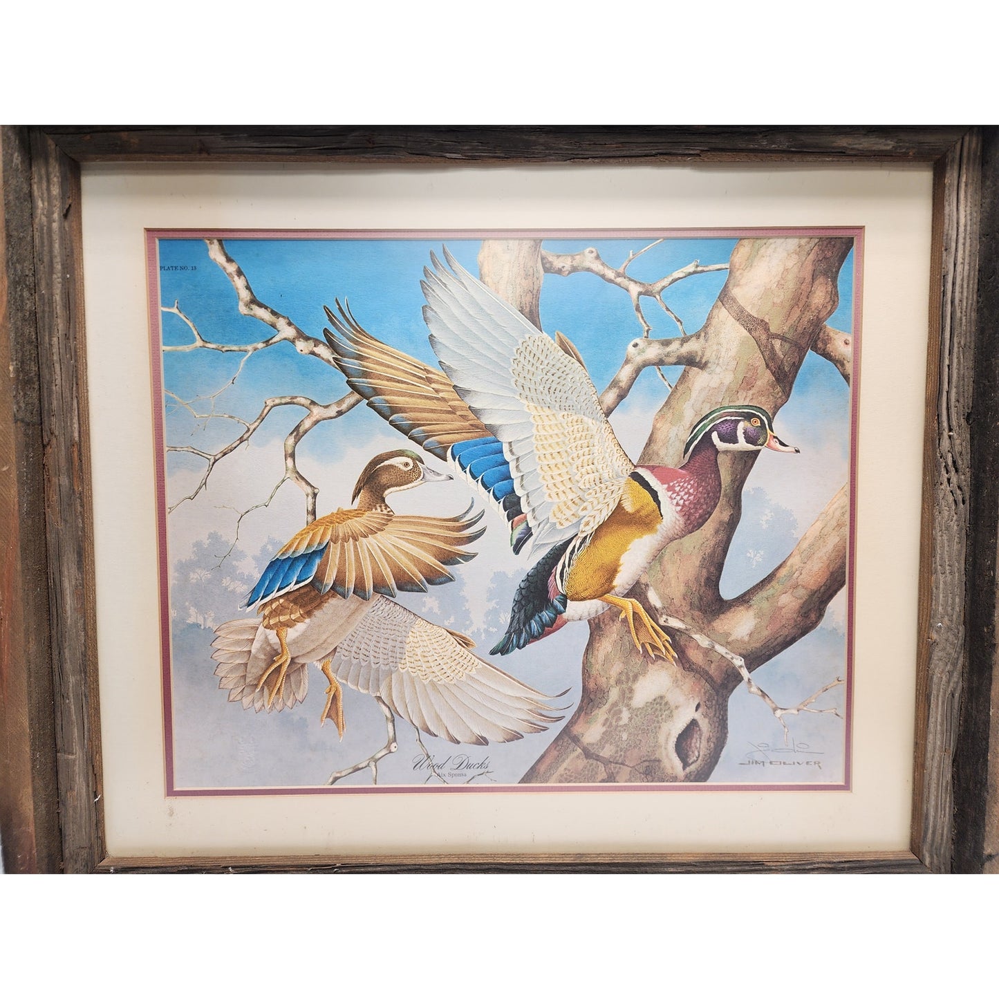 Jim Oliver Signed Lithograph “Wood Ducks” Plate 13  Rustic Framed Wildlife 27x23