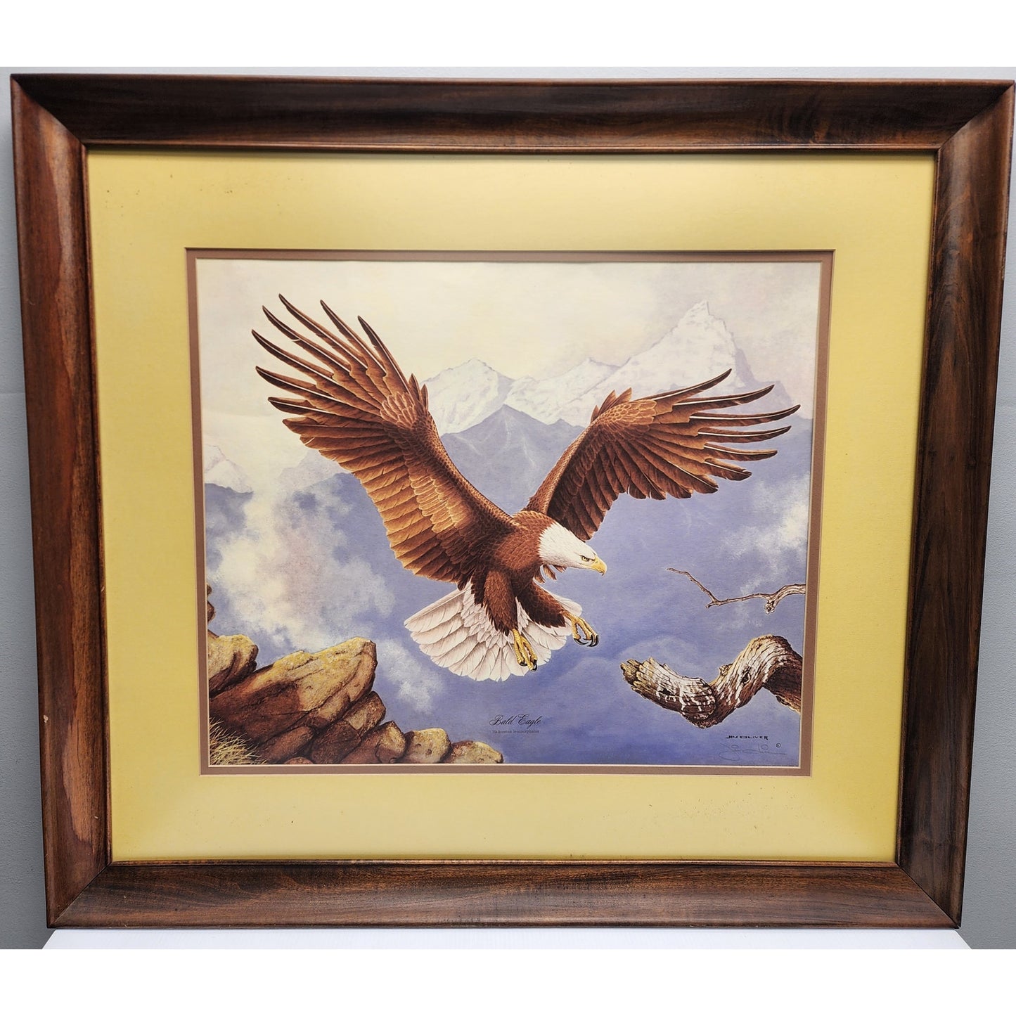 Jim Oliver Signed Lithograph “Bald Eagle”, Large Framed Wildlife Art 36.75x32.75