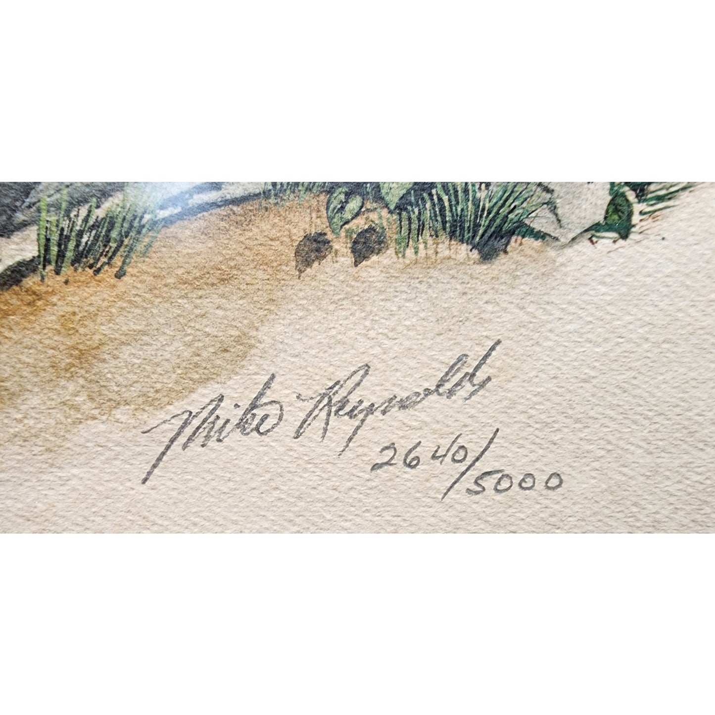 Mike Reynolds Signed KY Wildcat Print Framed Sage Matte Non-Glare Glass