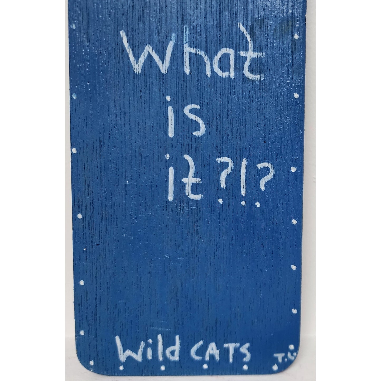 Vintage Handmade UK Wildcats Door Hanger “Do Not Disturb” w/ Basketball Ornament