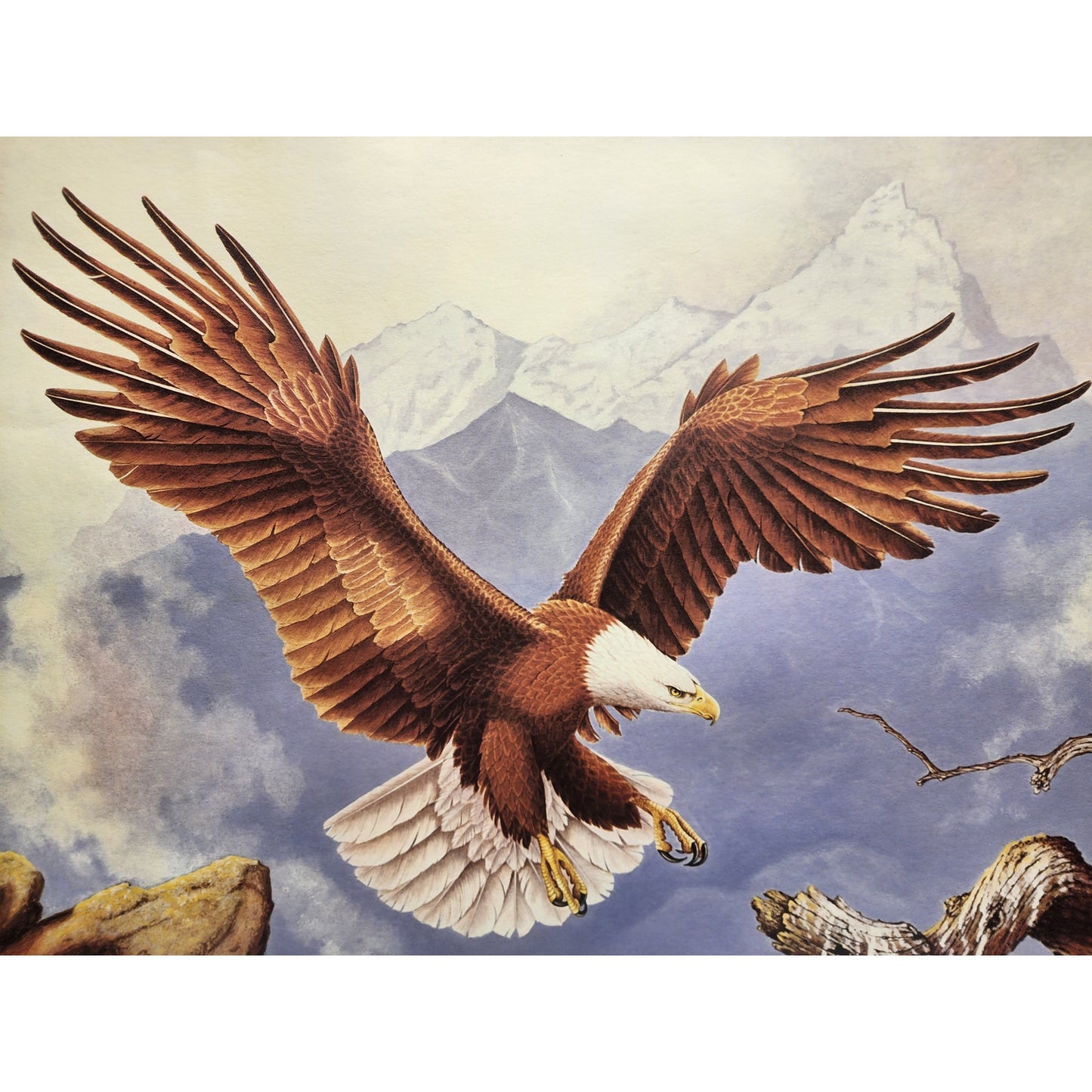Jim Oliver Signed Lithograph “Bald Eagle”, Large Framed Wildlife Art 36.75x32.75