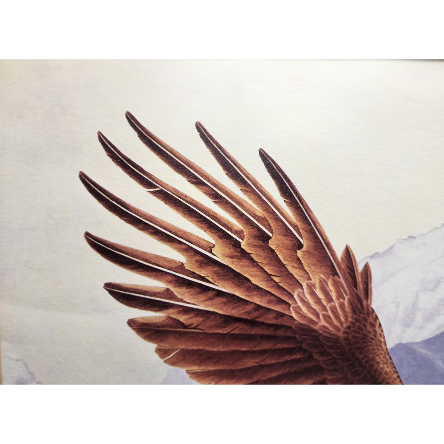 Jim Oliver Signed Lithograph “Bald Eagle”, Large Framed Wildlife Art 36.75x32.75
