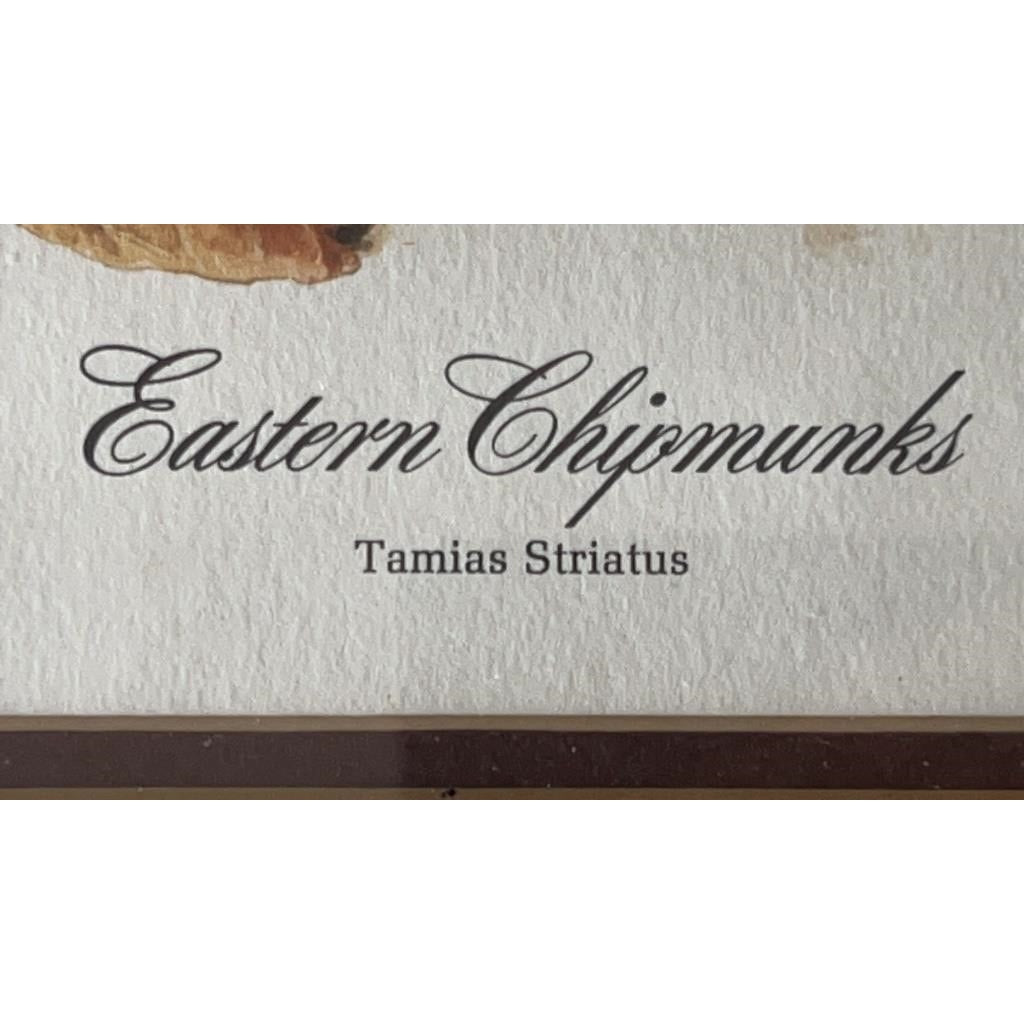 Jim Oliver Signed Print Eastern Chipmunks Framed Wildlife Art