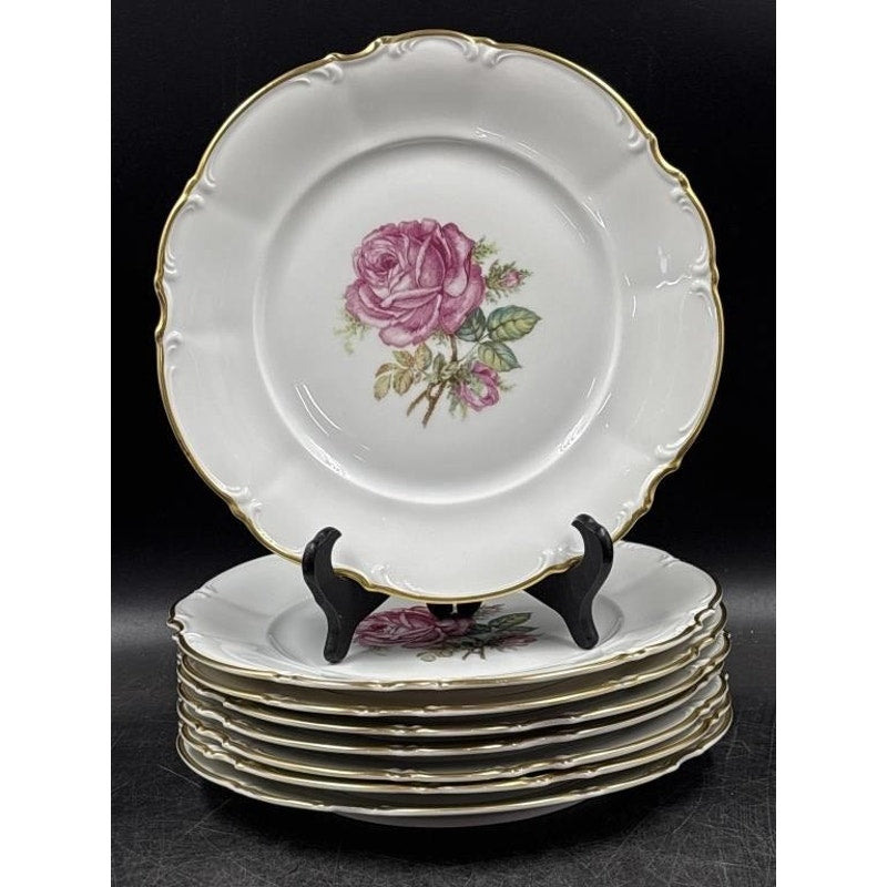 Set of 8 Vintage Hutschenreuther Selb Pasco “The Dundee” Dinner Plates