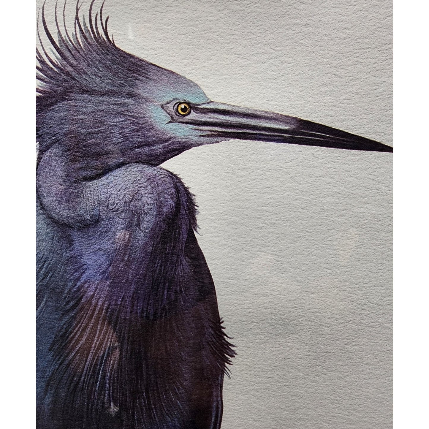 Ray Harm Little Blue Heron Lithograph 1967 Signed In Print Framed VTG Art