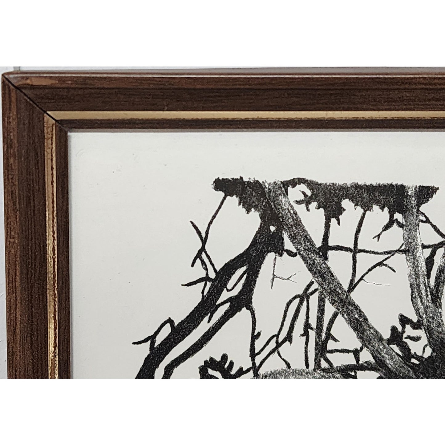 1987 Ralph Shyrock Wildlife Print 28/500 Signed Framed Bobcat Drawing 8x10