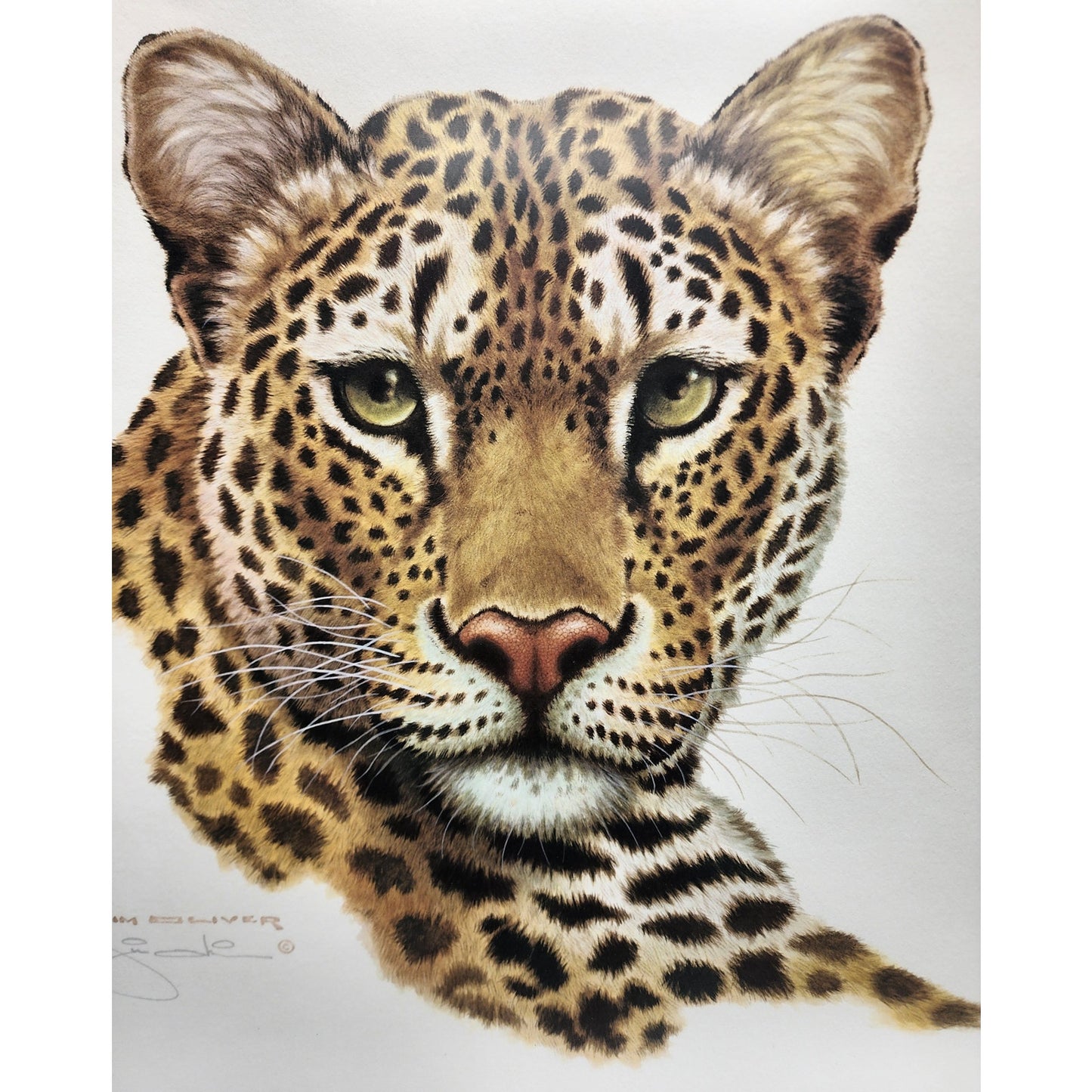 Jim Oliver Leopard Lithograph Plate 18 Signed Framed Wildlife Art VTG 1980