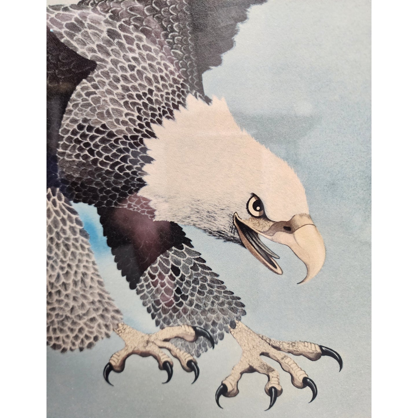 Gene Gray 1970 Bald Eagle Lithograph Framed Collectors Series VIII Morehead Univ