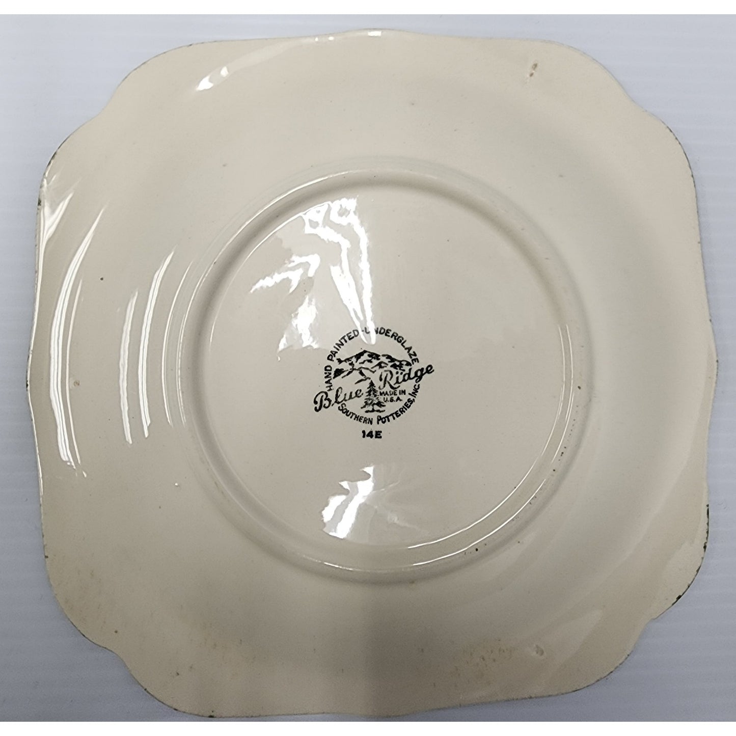 Blue Ridge Southern Potteries Hand Painted Floral Plates Set of 8 Vintage