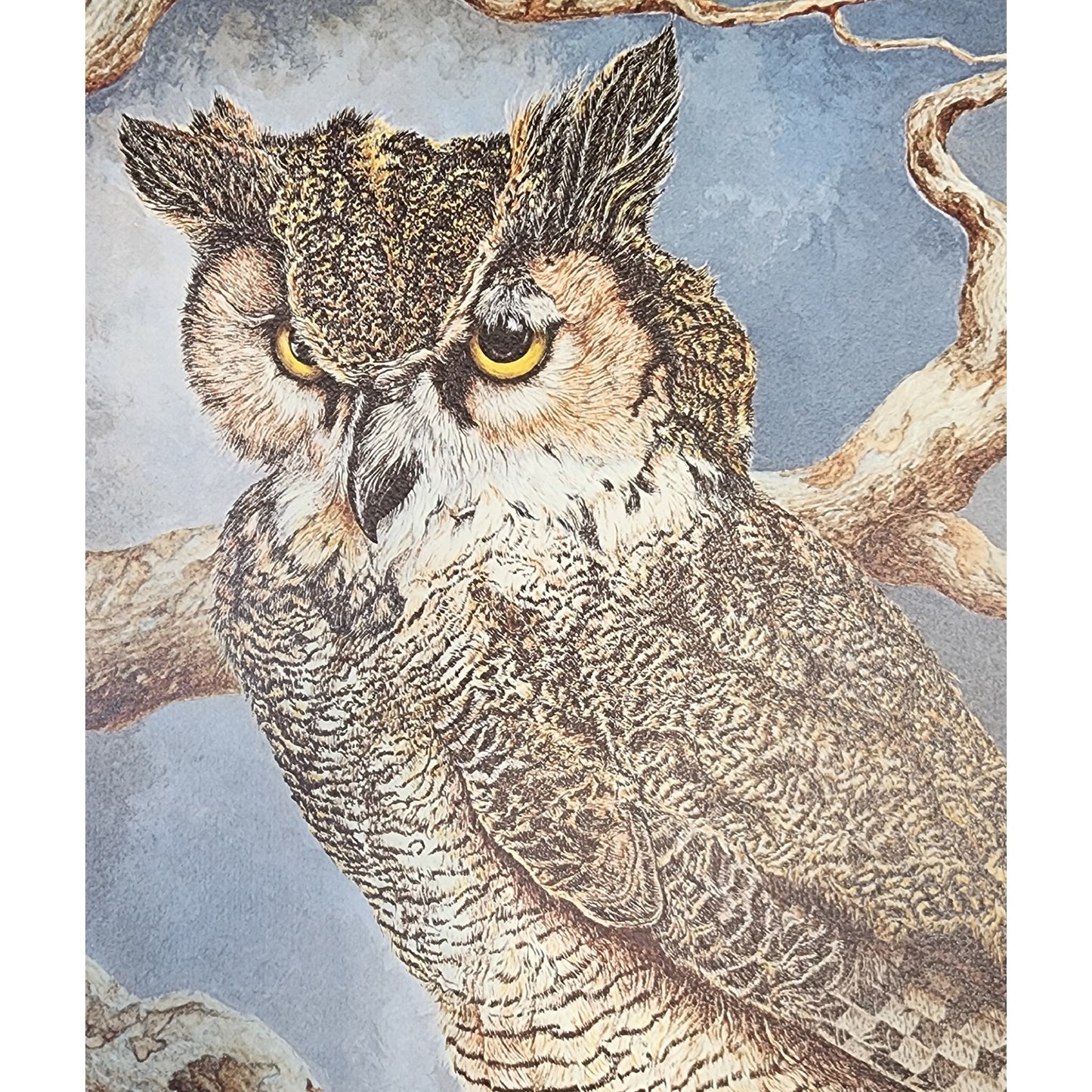 Harry Duncan ASA “The Night Watch” Owl Serigraph – Signed & Numbered 1558/2500 (1982)