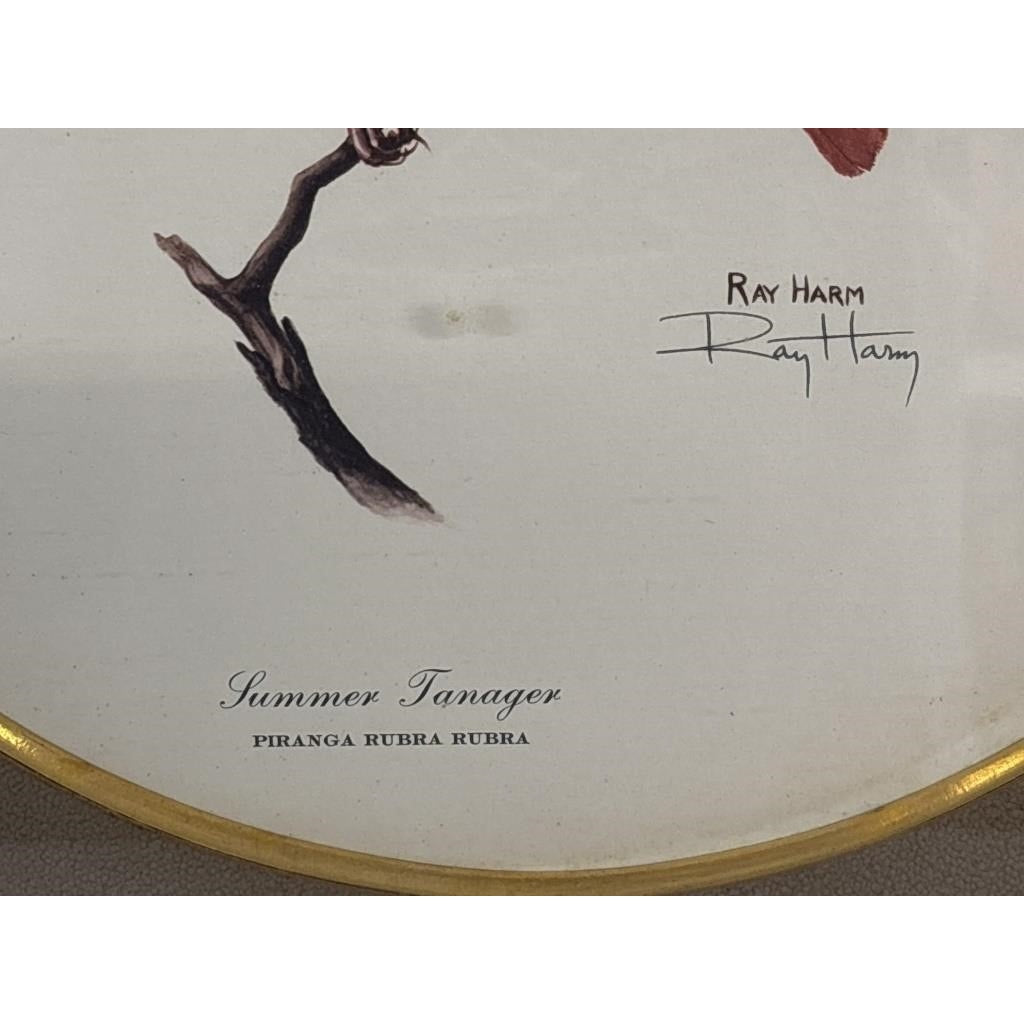 Signed Ray Harm “Summer Tanager” Lithograph – Vintage Framed Wildlife Art - 1963