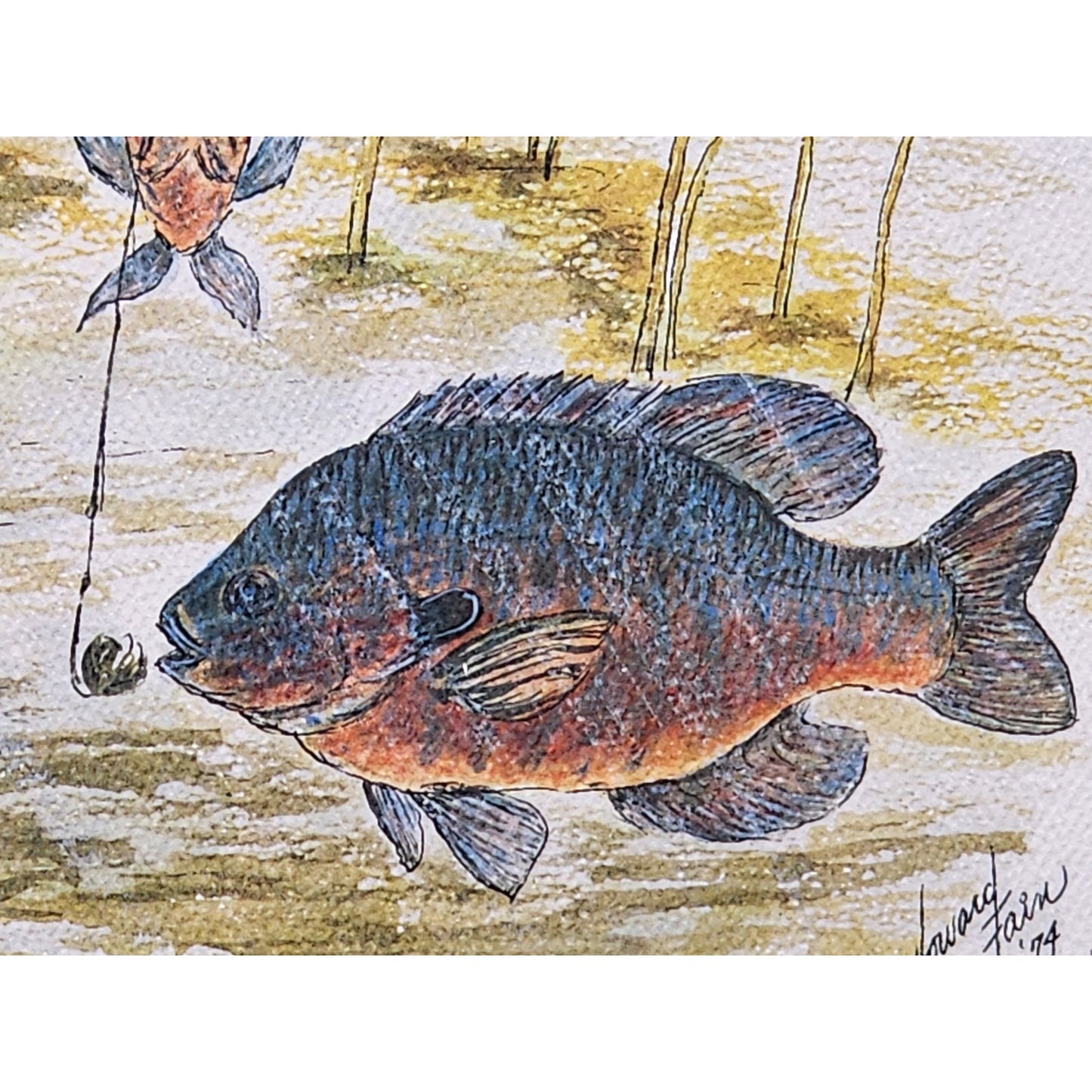 Red Bellies 1974 Howard Fain Signed LE 258/1000 Framed 25x29 Vintage Art