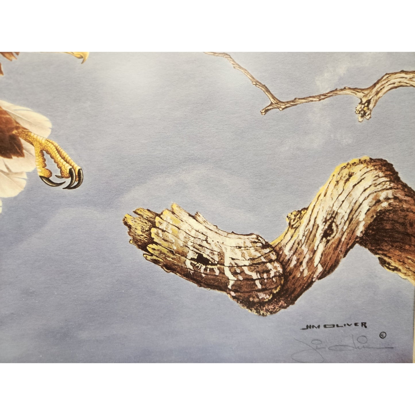 Jim Oliver Signed Lithograph “Bald Eagle”, Large Framed Wildlife Art 36.75x32.75