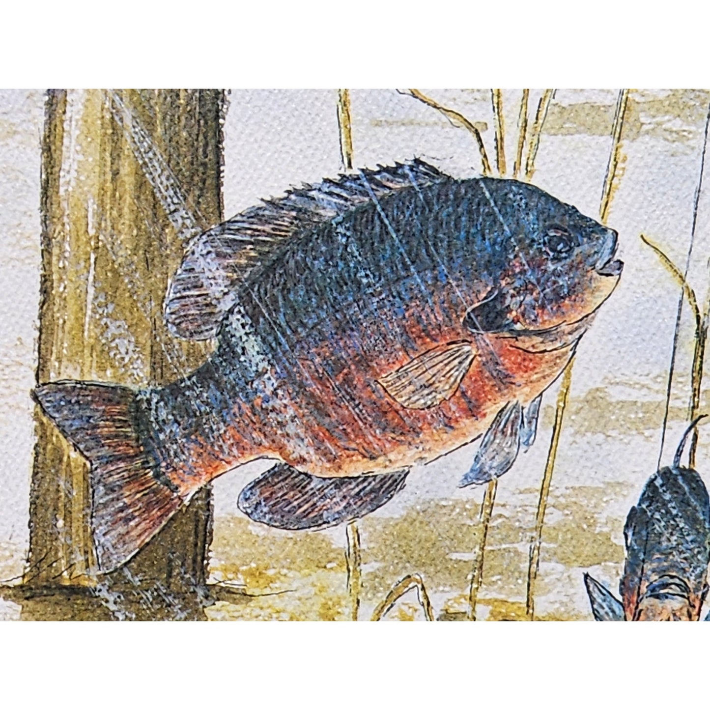Red Bellies 1974 Howard Fain Signed LE 258/1000 Framed 25x29 Vintage Art